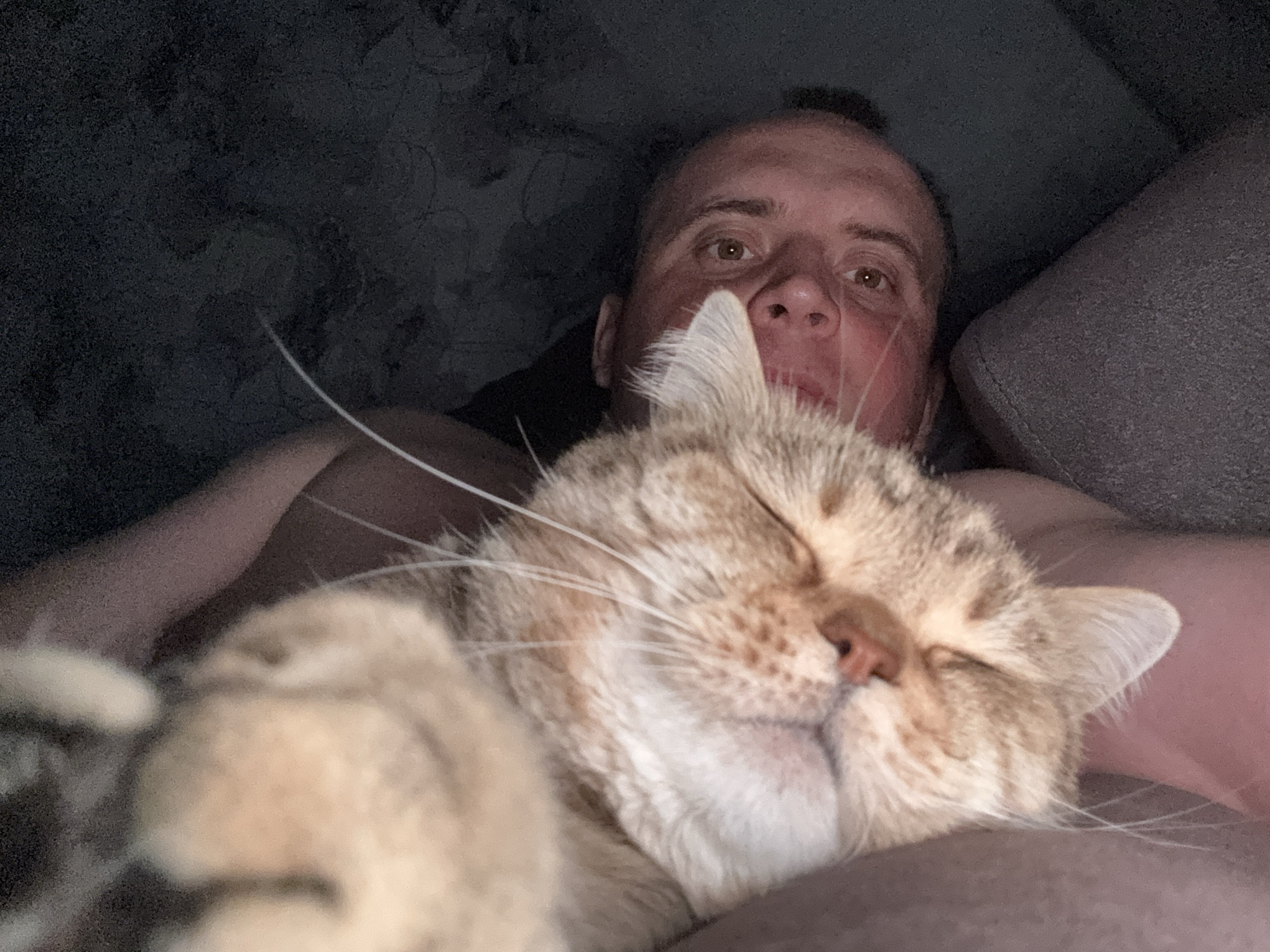 A man is lying down with a cat. The cat is sleeping on the man's chest. The man is looking at the camera. They are in a dimly lit room. Location is not discernible from the image.