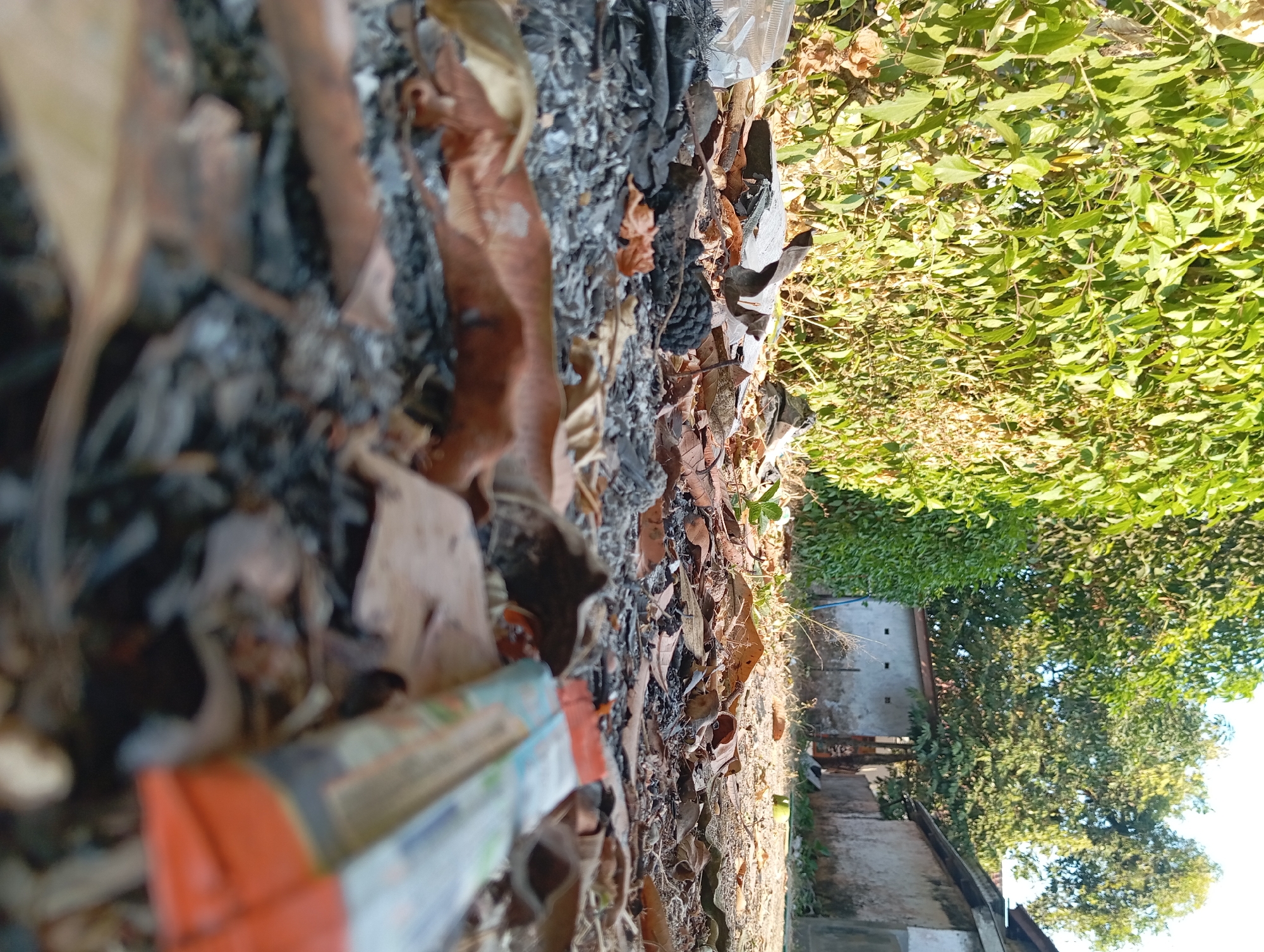 The image depicts a close-up, low-angle view of the ground covered in debris, including dry leaves, ash, and scattered remnants of what appears to be burnt material. In the foreground, an out-of-focus object with orange and blue coloring is visible, possibly packaging. The background shows a dense green hedge on the left, and trees and a simple building structure on the right. The ground is uneven and appears to be unpaved. The lighting suggests it is daytime, with sunlight illuminating the scene. The overall impression is of an outdoor area that has undergone some form of burning or is subject to accumulated refuse. Based on the provided crops, this location is likely in Padurungan, Indonesia, an area characterized by residential buildings and vegetation.