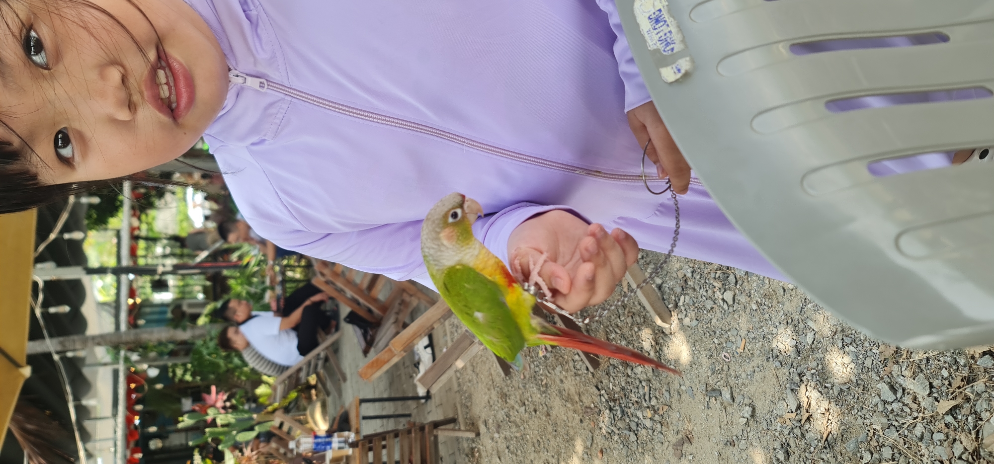 A young child in a light purple zip-up jacket is holding a green-and-red parrot on their hand. The background includes a partially visible gray plastic chair, people sitting at tables outdoors, and some vegetation. The ground is gravelly. Based on the tropical foliage and the seating arrangements, this is likely an outdoor cafe or restaurant. The photo was taken in Đà Nẵng, Vietnam.