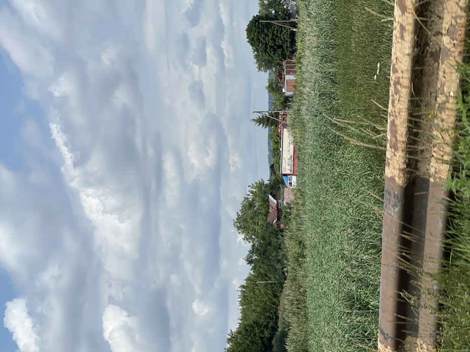 This image depicts a static rural or semi-rural landscape in Staryi Saltiv, Ukraine, under a partly cloudy sky. The foreground is dominated by a corroded, segmented metal barrier, likely a guardrail, with overgrown dry grasses immediately in front and behind it. Beyond this barrier, a dense expanse of tall, green, reedy vegetation occupies the midground, stretching horizontally across the frame.
In the background, partially obscured by the tall vegetation, a cluster of scattered residential or ancillary structures is visible. These include a building with a steep, weathered reddish-brown roof, possibly corrugated metal, and lighter-colored lower walls. To its right, a white box truck with a red cab and an extensive white cargo area, featuring faded, unreadable graphics or text on its side, is positioned amidst the vegetation and structures. Further right, another smaller, darker-roofed structure is partially visible. Tall green deciduous trees form a general treeline behind these buildings, with several prominent wooden utility poles, each carrying visible overhead lines, interrupting the treeline. The sky above is largely covered by a mix of bright white cumulus clouds and larger, more diffuse grey cloud formations, indicating an overcast or partly cloudy condition with diffused lighting. No individuals or specific actions are discernible within the scene.