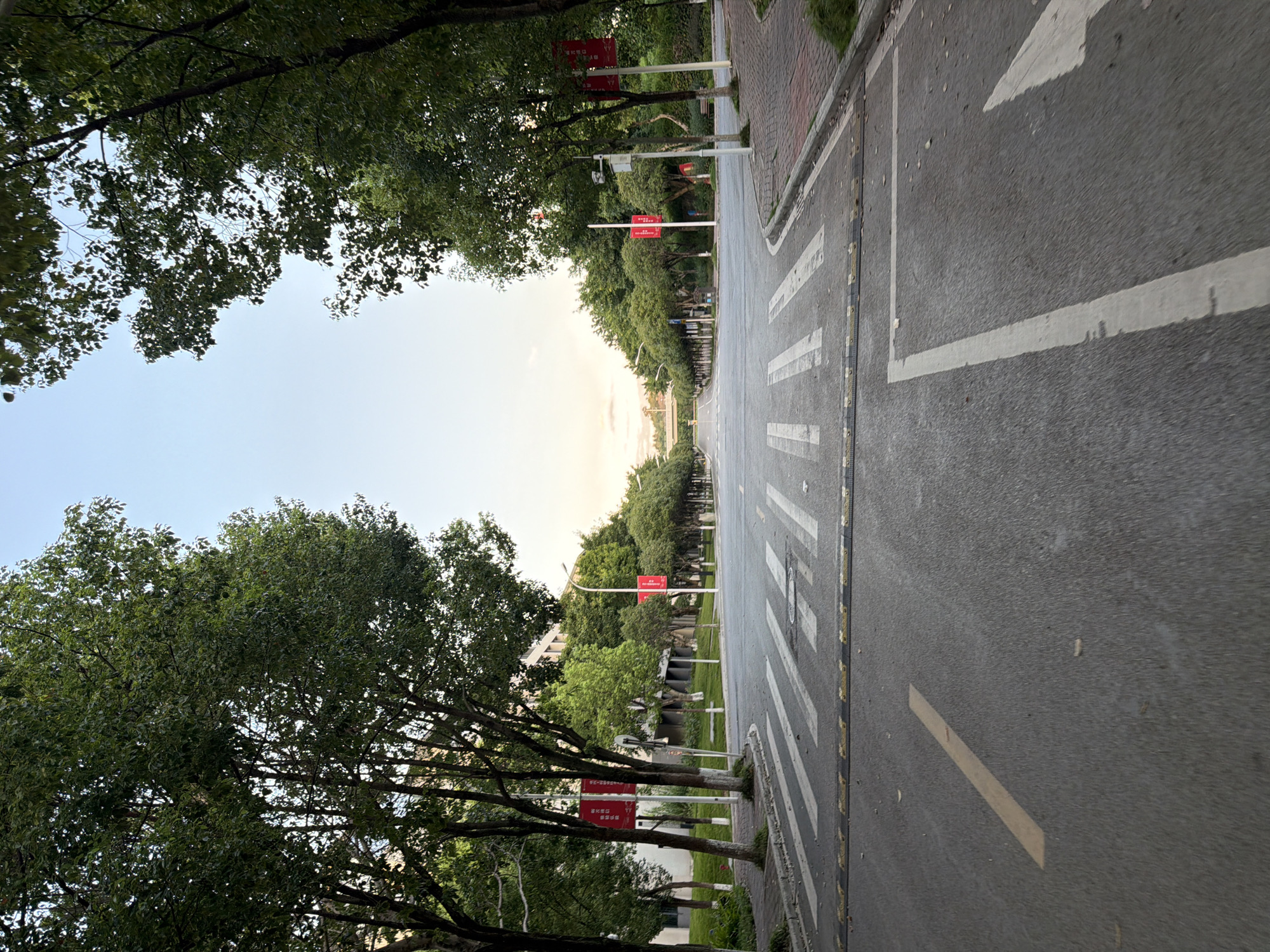 An exterior, eye-level shot captures a wide road with a pedestrian crossing marked by white stripes and a speed bump. Tall, mature trees line both sides of the road, their branches arching over the asphalt. Red banners with Chinese characters are displayed on poles along the sidewalk. In the distance, the road curves and leads towards a bridge-like structure under a hazy sky with soft, warm light suggesting either dawn or dusk. The environment appears to be a campus or park-like area within the city of Jiangjin, China. No people are visible in the frame.