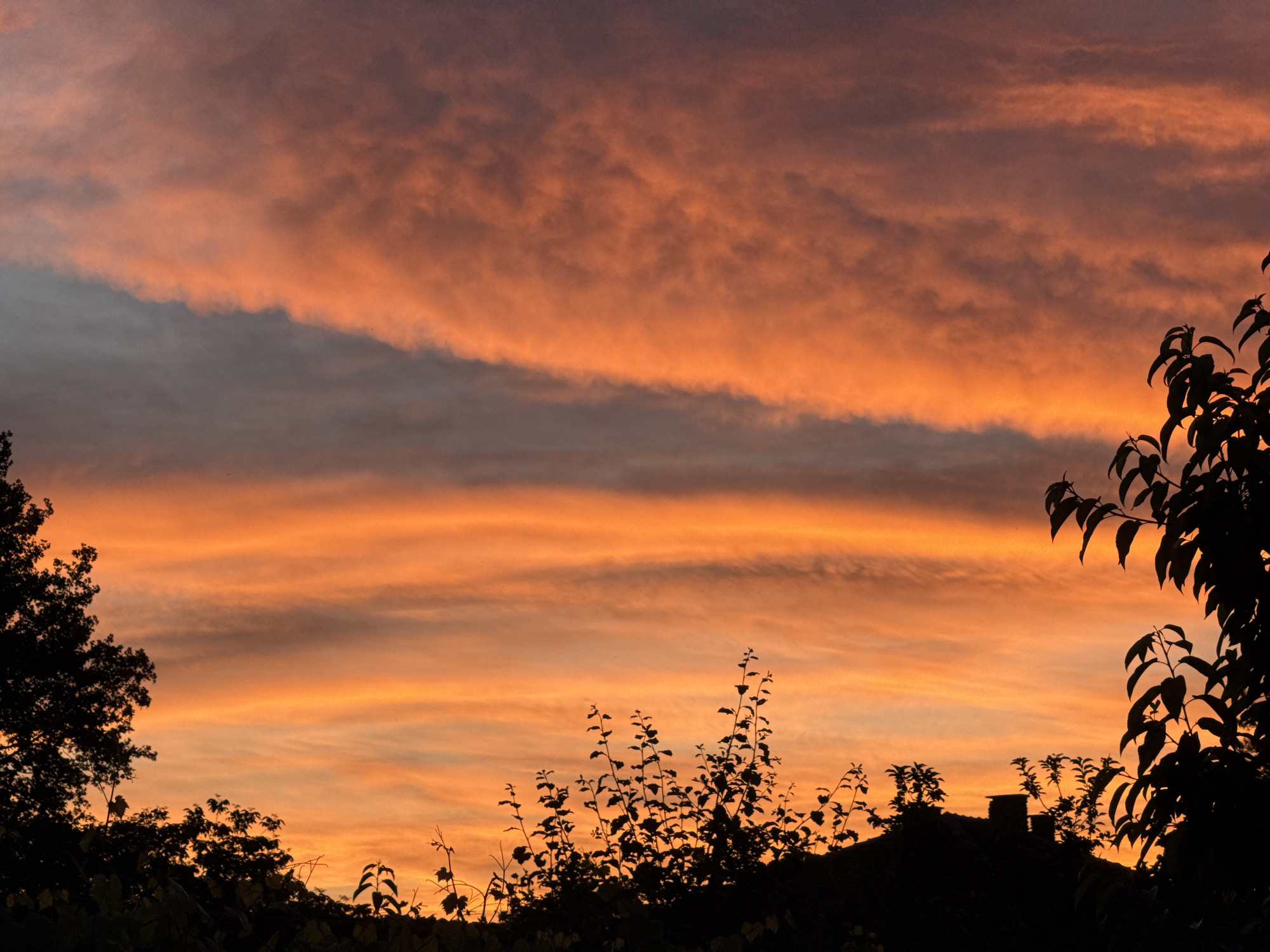 The image captures a vibrant sunset over a silhouetted landscape. The sky is dominated by a gradient of fiery oranges and yellows, with streaks of darker gray clouds interspersed. In the foreground, the silhouettes of trees and the roof of a building with chimneys are visible against the bright sky, suggesting a residential area. The composition is framed by dark foliage on the left and right edges, with delicate branches reaching upwards in the lower center. The scene evokes a sense of tranquility and natural beauty, with the warm hues of the sunset creating a dramatic backdrop. The location is identified as Unknown, Unknown.