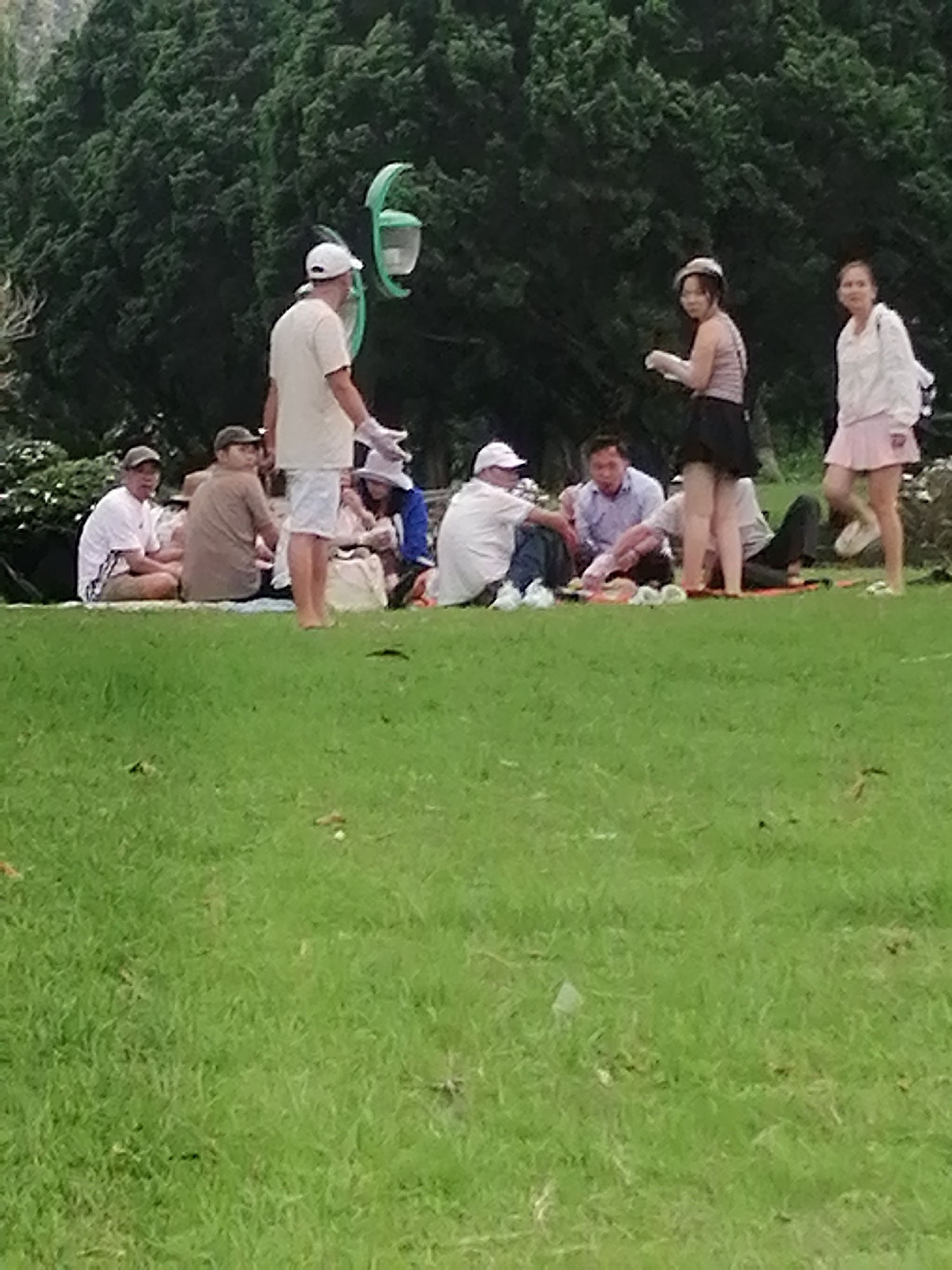 In Da Lat, Vietnam, a group of people are picnicking on a grassy lawn, with a large evergreen tree line forming the backdrop. The scene is observed from a low angle, focusing on the people seated and standing on the grass. A man in a white t-shirt and cap stands, facing away from the camera, wearing white gloves. Several individuals are seated on the ground, some in casual attire, including t-shirts and shorts, others in lighter-colored shirts. One woman in a light pink skirt and white top is standing to the right. Another woman in a pink top and black skirt is also standing, turned slightly away. The ground is covered in green grass, with a few scattered leaves and some indistinct items on the grass in the foreground. A decorative green lamp fixture is visible above and behind the standing man.