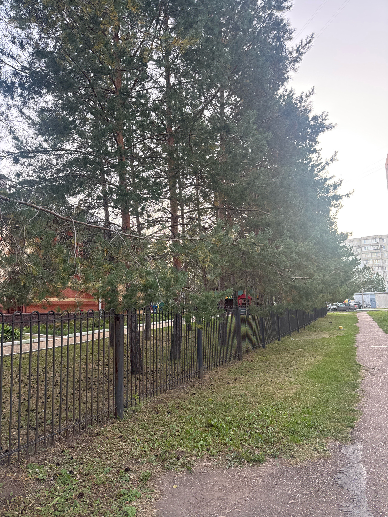 The image depicts a paved pathway running alongside a row of tall pine trees bordering a black metal fence. Beyond the fence, a brick building and a children's playground are partially visible. In the distance, a multi-story apartment building and parked cars suggest an urban setting. The pathway and surrounding grass are well-maintained. The image appears to have been taken in Ufa, Russia, likely in a residential area with green spaces.
