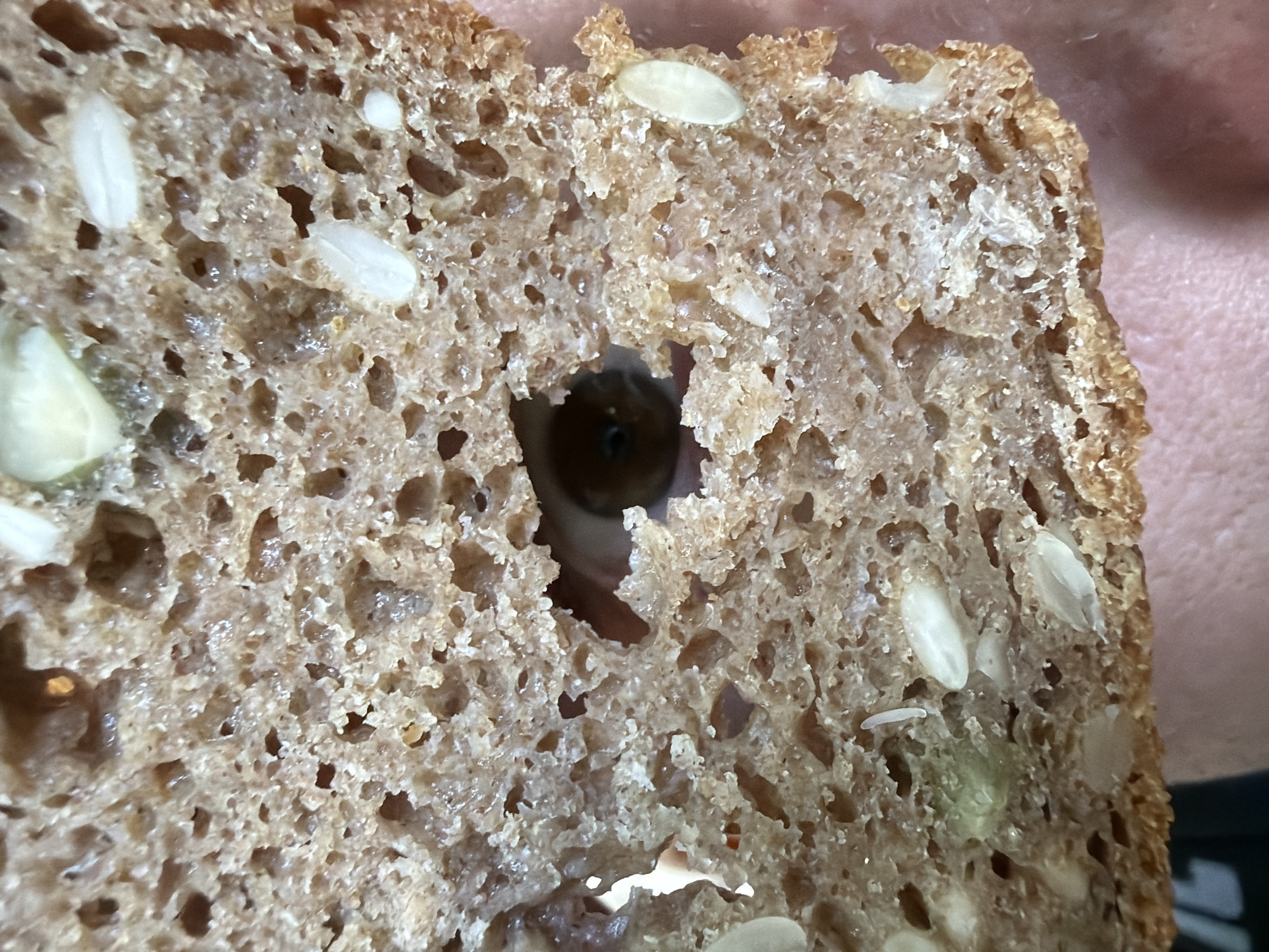 A close-up shot of a slice of brown, multigrain bread with a hole through which a human eye is visible. The bread is textured with numerous holes and embedded with white and green seeds. The background is slightly out of focus and appears to be human skin and a black object. The location and details of Chaikovsky, Russia, are not evident in this image.