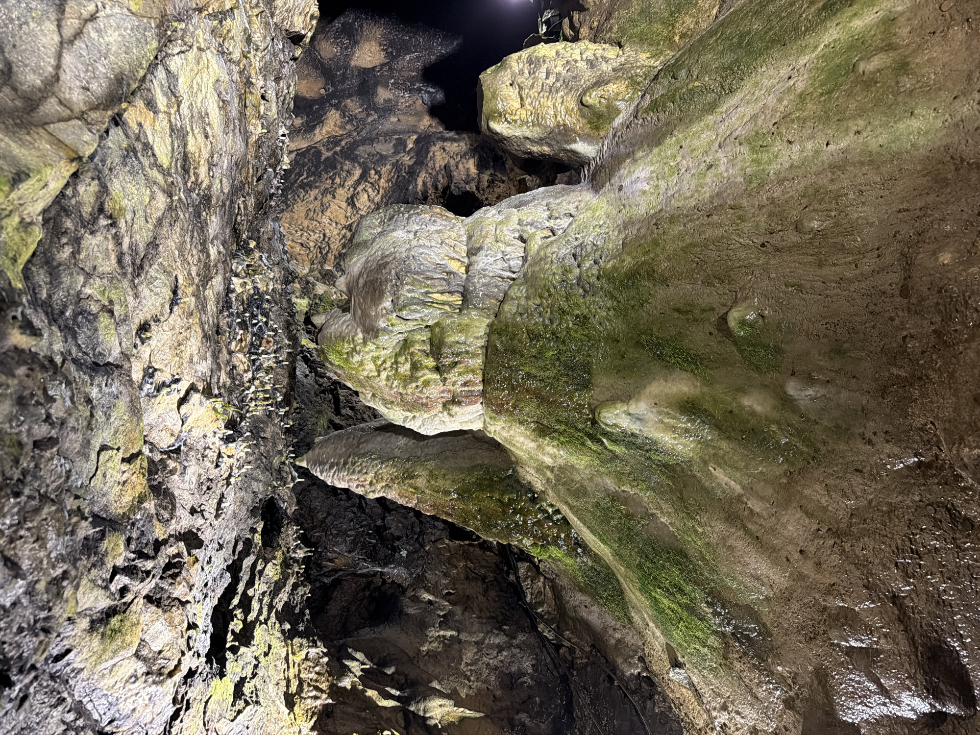 The image depicts the interior of a cave, characterized by various rock formations, textures, and the presence of moisture. The environment includes rocky walls with a mix of light and dark hues, and some sections exhibit green moss or algae growth. Small, unidentified objects are sparsely arranged along a rock face, potentially biological or mineral formations. Lighting is dim, with some areas appearing darker due to shadow.