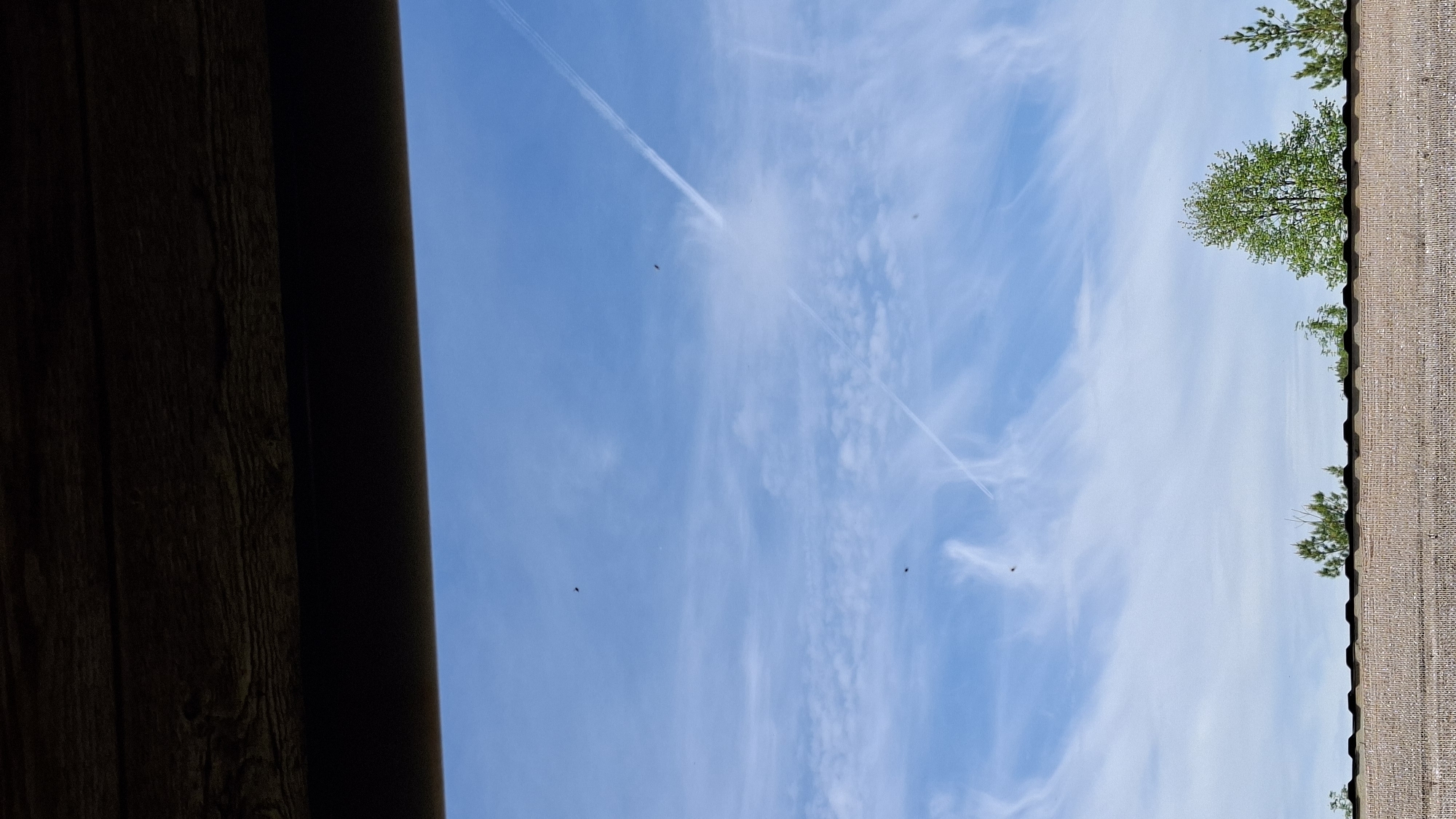 The image shows a view of the sky with cirrus clouds and contrails. In the upper right corner are tree branches, and on the left is a dark wooden structure. There are several small, dark objects scattered in the sky, possibly birds or insects. The location is identified as Большой Букор, Russia.