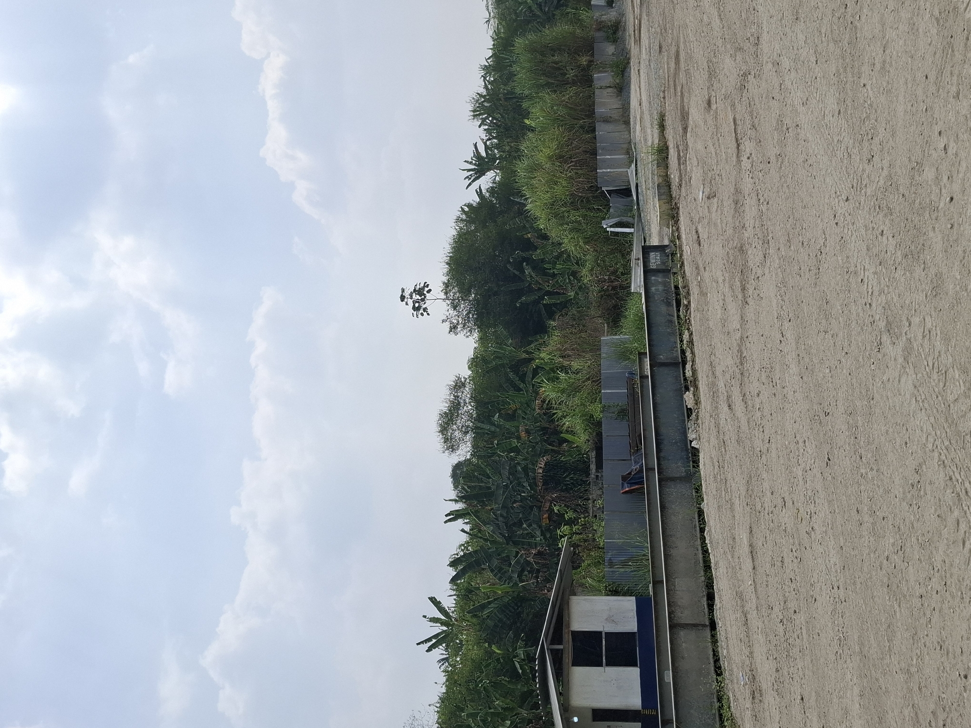 The image shows an outdoor scene in Pamuruyan, Indonesia, with a bright, cloudy sky dominating the upper portion of the frame. In the mid-ground, a dense wall of lush green vegetation, including what appear to be banana trees and tall grasses, stretches across the landscape. A small, simple white building with blue trim and dark window openings is situated to the left of the vegetation. In front of the vegetation and building, a metal structure, possibly part of a weighing scale or industrial equipment, is visible. The foreground is a dusty, dirt ground with tire tracks. Concrete blocks or slabs are stacked and scattered along the right side of the mid-ground, behind the vegetation. The overall impression is of a somewhat unkempt outdoor area, possibly an industrial yard or a construction site, bordering a natural, overgrown area.