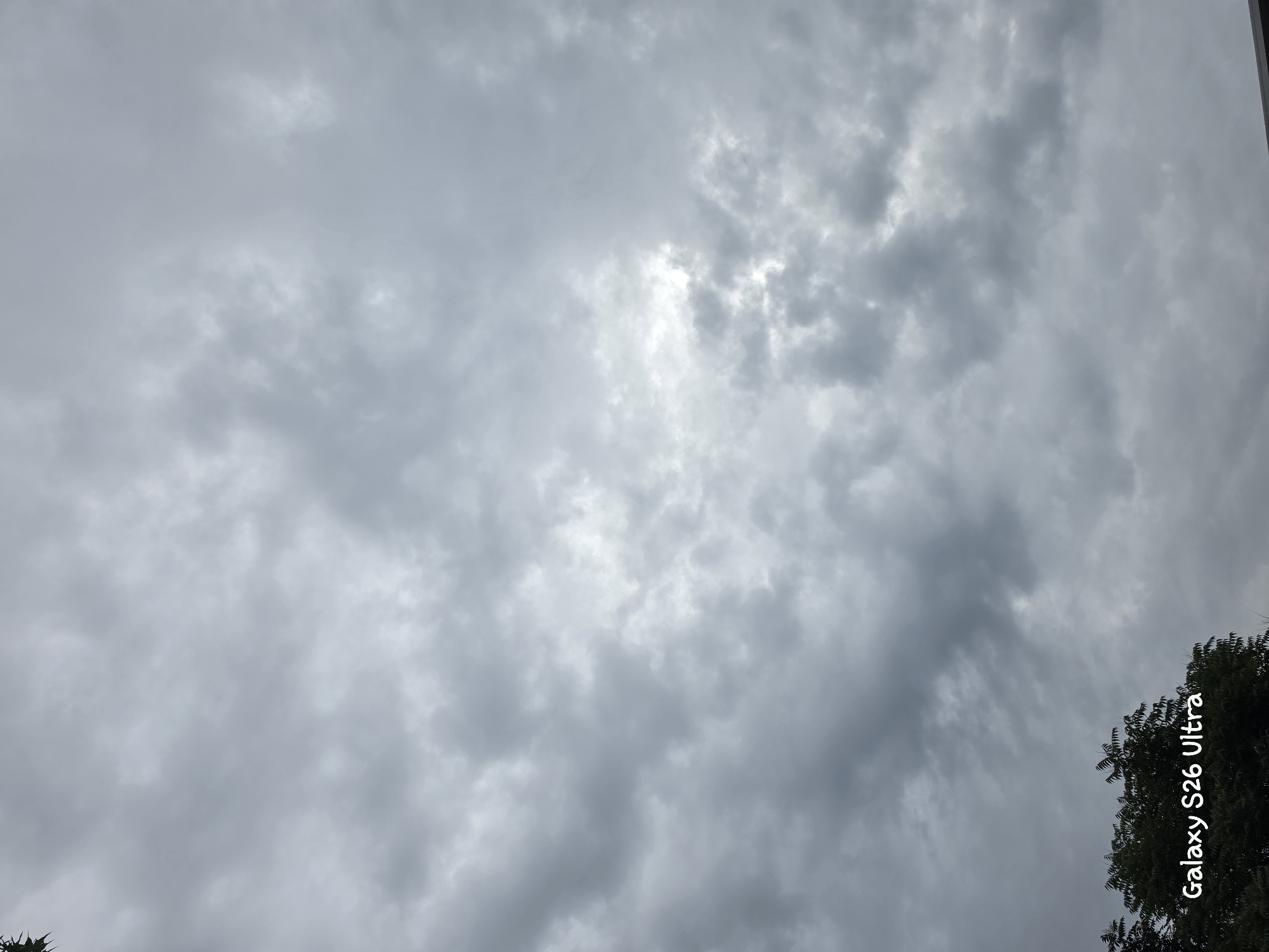 The image depicts an overcast sky filled with gray and white clouds, suggesting a cloudy or stormy day. A patch of bright light is visible through the clouds, indicating diffused sunlight. On the right side of the frame, the dark green foliage of a tree extends into the lower portion of the image, its branches detailed against the sky. The scene is likely outdoors.
There are no people or discernible objects apart from the tree. The time of day appears to be daytime, given the brightness of the sky. The weather is overcast. No specific location cues are evident beyond the mention of Plovdiv, Bulgaria in the prompt.
The text "Galaxy S26 Ultra" is visible vertically along the right edge of the image, written in white, slightly stylized font. This text appears to be a watermark or device identifier.