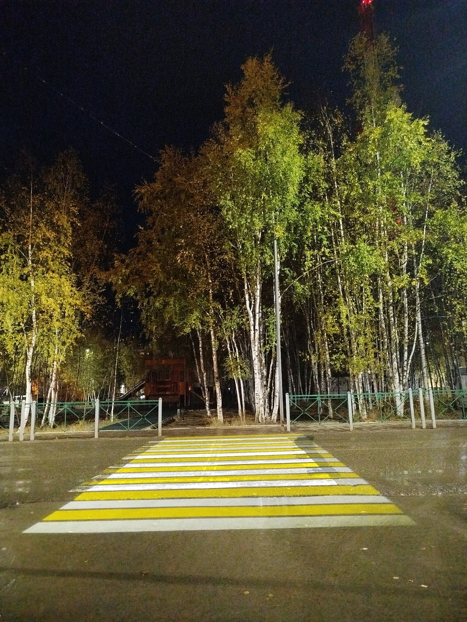 A photograph taken at night shows a pedestrian crossing with bright yellow and white stripes on a wet asphalt road. The road is illuminated, reflecting the stripes. Behind the crossing, a line of birch trees with autumn foliage in shades of green and yellow stretches across the background. A green metal fence runs along the edge of the trees. In the middle ground, a wooden structure, possibly a playground or observation deck, is visible among the trees. The sky above is dark, with a faint hint of lights from a distant structure, possibly a tower, at the top right. The overall impression is one of an urban park or residential area at night. The location is identified as Mirny, Russia.