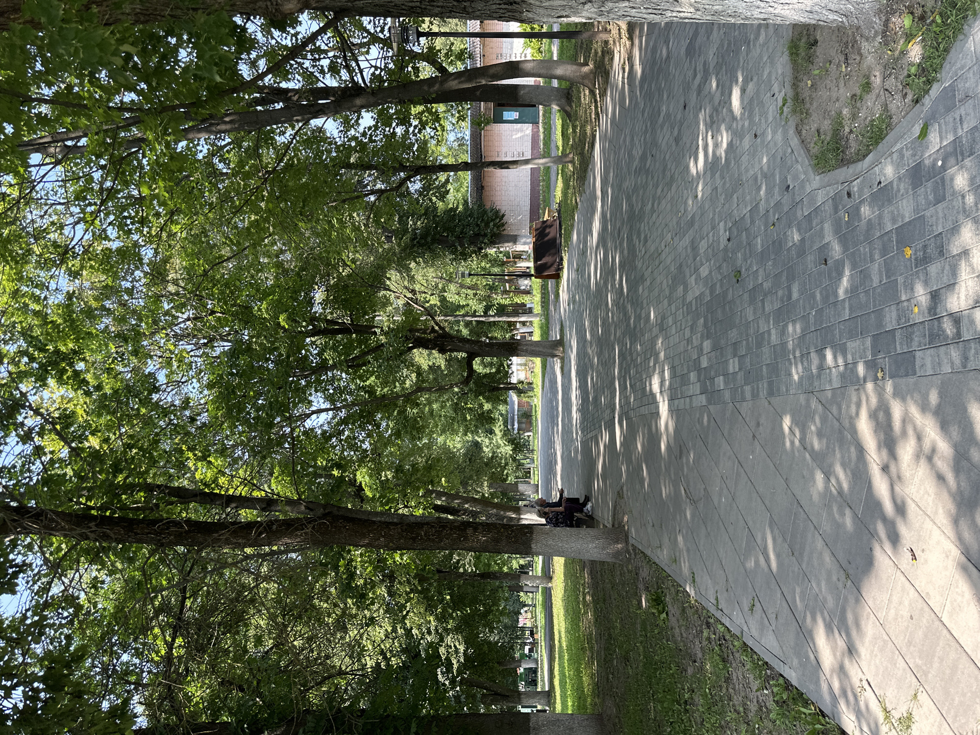 The image depicts a sun-dappled pedestrian walkway in a park, likely in Selivanovo, Russia, given the context provided. The walkway is paved with grey interlocking stones, bordered by a strip of green grass on the left. Mature trees with lush green foliage line both sides of the walkway, casting dappled shadows across the path. In the middle ground, two individuals, an elderly man and woman, are seated on a dark-colored park bench. Further down the walkway, a low, light-colored brick building with a dark roof and a blue door is visible. Adjacent to the building, a dark brown park bench lies on the grass. The overall impression is one of a serene, well-maintained public space on a clear, sunny day.