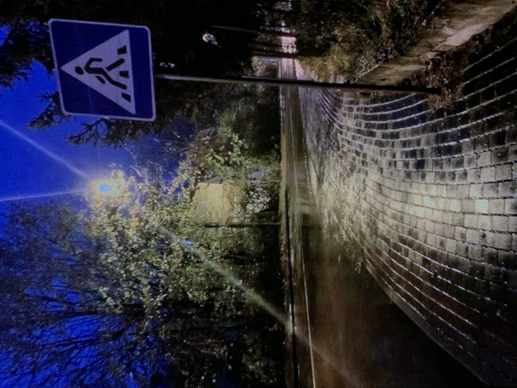 The image captures a street scene at night, illuminated by a street lamp and the dark sky. A pedestrian crossing sign, a blue square with a white triangle containing a silhouette of a person walking, is prominently displayed on the right side of the frame. The road appears wet, reflecting the light, and is lined with a cobblestone sidewalk. Trees and foliage border the street, creating a dark and somewhat shadowy environment. The overall impression is of a quiet, possibly damp, urban setting after dark.
However, the provided image does not contain any visual cues that would allow for the identification of the location as Nizhny Tagil, Russia. There are no landmarks, street signs, or architectural styles that are specific to that city. The scene is generic enough to be a street in many different locations.