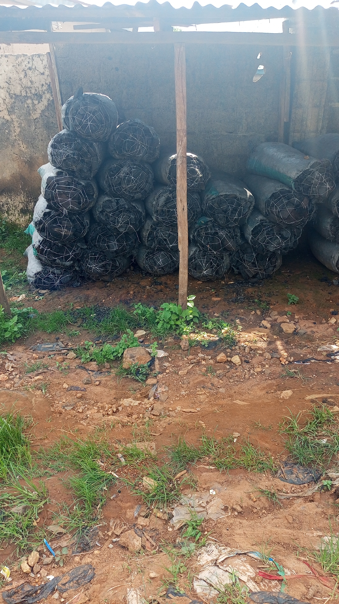 The image depicts a storage area, possibly an outdoor shed, with a corrugated metal roof supported by wooden beams. The scene is filled with numerous large, cylindrical objects stacked in piles. These objects appear to be sacks or bags, mostly dark in color and wrapped in a white netting or string. They are densely packed, suggesting a considerable quantity. A vertical wooden pole stands prominently in the center of the image, dividing the view of the sacks.
The ground in front of the sacks is uneven and covered with reddish-brown dirt, scattered rocks, and patches of green grass and weeds. There are also some visible pieces of debris and plastic waste on the ground, including black plastic bags and other refuse. The lighting suggests it is daytime, with sunlight casting shadows and creating a slightly hazy atmosphere. The overall impression is one of a functional but somewhat unkempt storage space, likely in a rural or semi-rural setting given the natural elements and the type of construction. The location context of Kagarko South, Nigeria, aligns with the visual cues of the environment. There is no visible text in the image. The activity taking place is storage of these bundled materials.