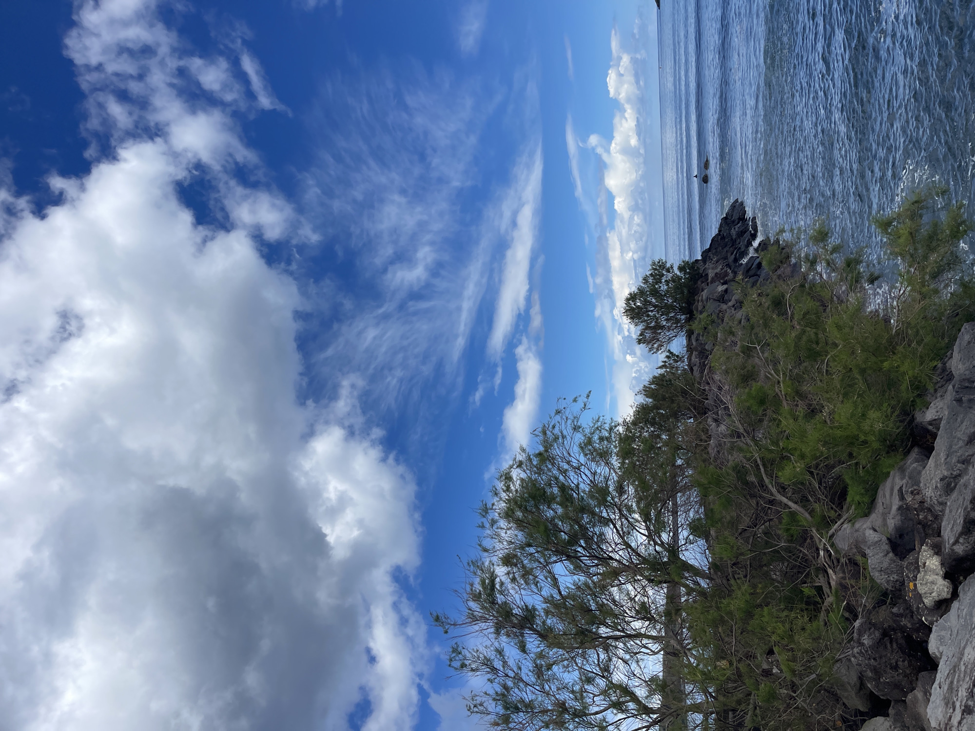 The vertically oriented image displays a vibrant coastal landscape under a bright blue sky. When viewed as if rotated 90 degrees counter-clockwise, the scene unfolds with the sky dominating the upper left two-thirds of the frame.
The sky is a brilliant blue, populated by a mix of clouds. Large, fluffy white cumulus clouds are prominent on the far left, while delicate, wispy cirrus clouds streak diagonally across the mid-upper section. Smaller, scattered cumulus clouds also appear near the horizon on the right.
The upper right portion of the image features a calm body of water, likely the ocean, exhibiting subtle ripples and small waves. The water's surface reflects a deep blue-grey hue, extending to a soft horizon.
A rugged, dark rocky coastline delineates the land from the sea, occupying the lower right and central parts of the image. Abundant green vegetation, including dense shrubs and trees with thin branches and small leaves, grows vigorously on and amidst these rocks, particularly in the lower left and central-right areas.
In the water near the rocky shore, a couple of dark, indistinct shapes are visible, appearing to be submerged rocks or small, distant objects.
The scene is brightly illuminated, indicating a clear daytime setting, likely mid-morning or afternoon, under pleasant weather conditions. The overall atmosphere conveyed is one of tranquility and natural beauty. No people or visible text are present. The setting is consistent with a coastal location such as Praia da Vitória, Portugal.