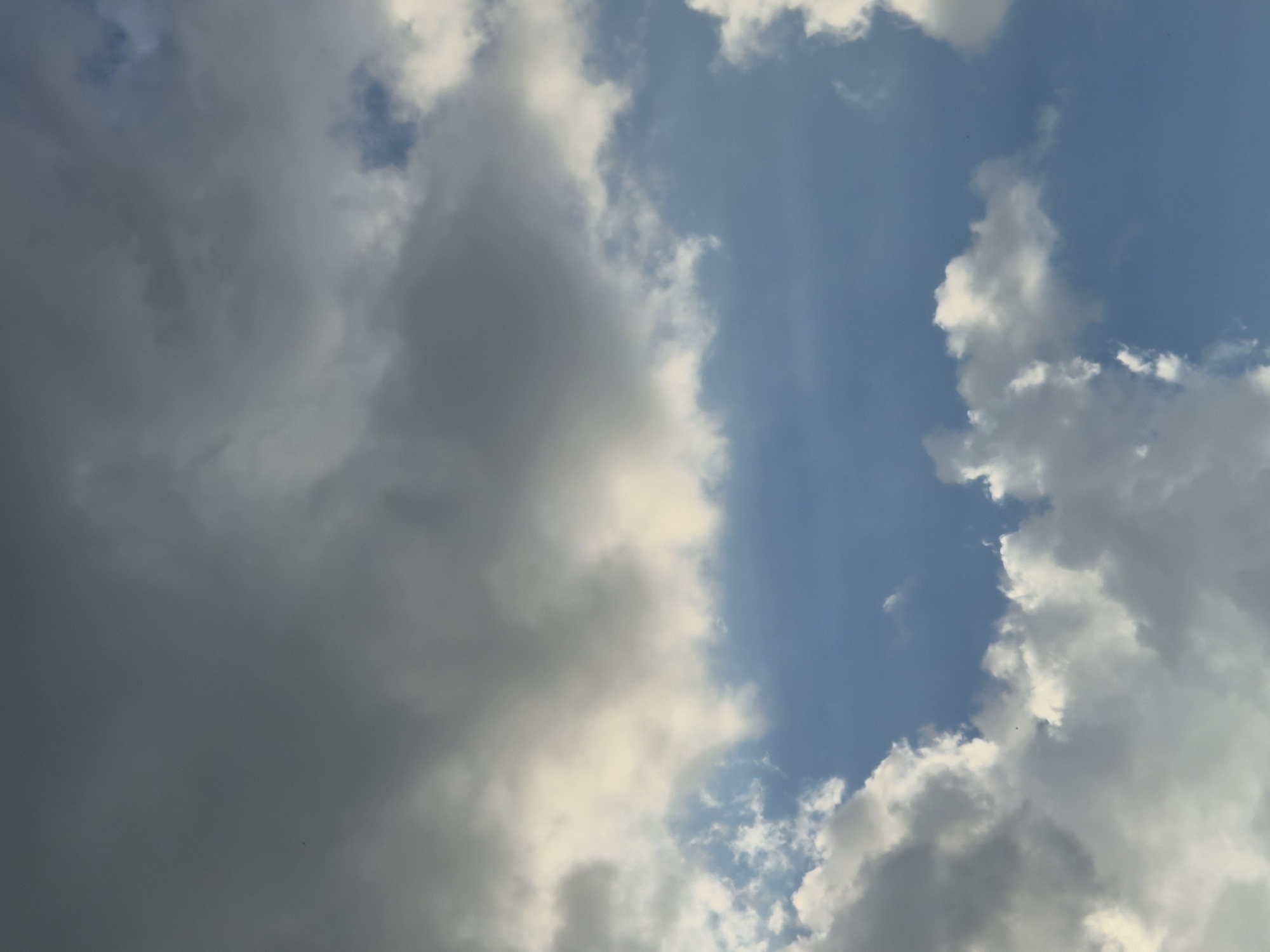 This is a photograph of a sky filled with clouds. The sky is blue, and there are white and gray clouds scattered throughout. The clouds are fluffy and appear to be moving. The photograph appears to be taken from a low angle, looking up at the sky. There are no people or objects visible in the photograph. The time of day appears to be daytime, and the weather appears to be partly cloudy. The location cues are not specific enough to determine the exact location, but it is implied to be Lenina, Russia. There is no text visible in the photograph.