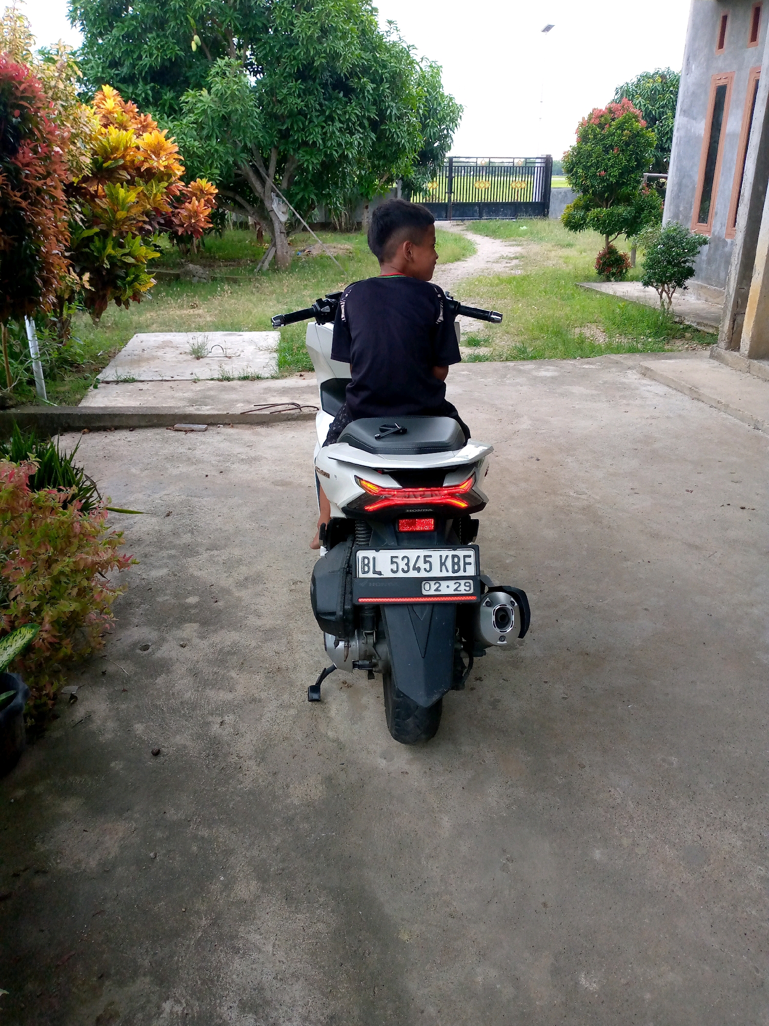 A young boy sits on a white Honda motorcycle parked on a concrete driveway. He wears a black t-shirt and patterned pants. The motorcycle has a license plate that reads "BL 5345 KBF" and "02-29". Behind the motorcycle is a house with a light-colored facade and brown-trimmed windows. The yard features lush green grass, trees, and vibrant flowering bushes. In the background, a metal gate is visible, leading to a field. The sky is overcast.