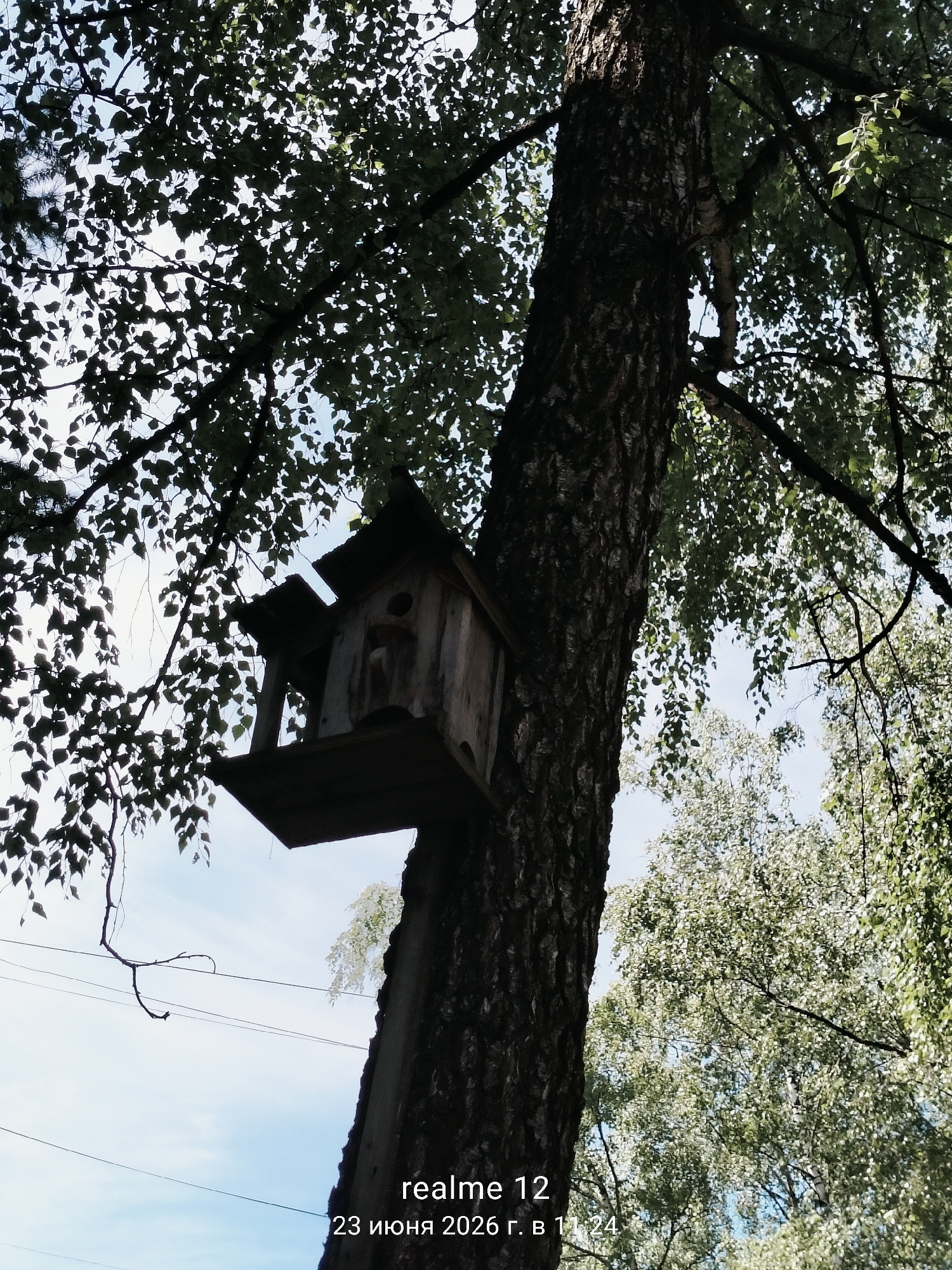 An eye-level, outdoor, medium shot captures a weathered wooden birdhouse attached to the thick, dark bark of a large tree trunk. The tree is surrounded by lush green foliage, with sunlight dappling through the leaves and illuminating the birdhouse. The sky above is a soft blue with scattered white clouds. In the lower right corner of the image, text overlays read "realme 12 23 июня 2026 г. в 11:24". The scene appears to be a park or natural area within the city of Shchyolkovo, Russia.