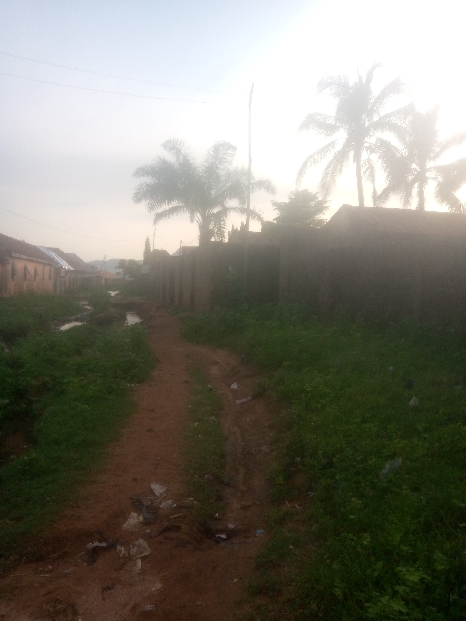 The image depicts a dirt road in Jalingo, Nigeria, under a hazy or foggy sky. The road is flanked by overgrown green grass and some puddles of water on the left side. Several structures, possibly houses with corrugated metal roofs, are visible in the background on the left. On the right, a brick wall runs along the road, with a palm tree visible above it. The sky is bright and washed out, suggesting either early morning or late evening light, or the presence of mist or fog. There are no people or animals visible in the scene. Litter, including plastic bags and debris, is scattered along the road and in the grassy areas.