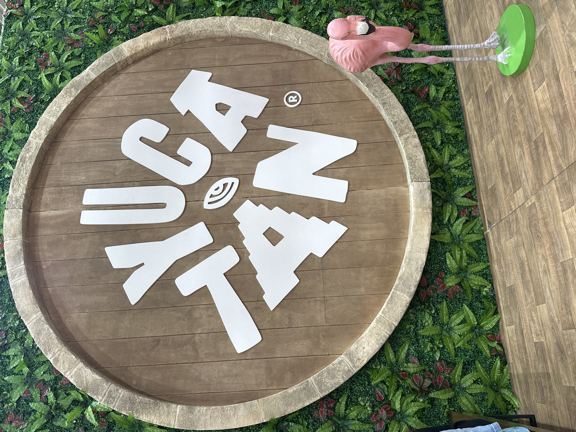 The image shows a round wooden sign with white lettering spelling "Cata Yu Ta'n" around a leaf logo. The sign is edged with a stone-like border and set against a backdrop of artificial green foliage. A pink flamingo statue with a green base is positioned adjacent to the sign. The background also includes a section of wooden paneling. The scene appears to be indoors. While I can tell you the image was taken in Mexico, based on the metadata, I cannot say specifically that this photo was taken in Mexico City.
