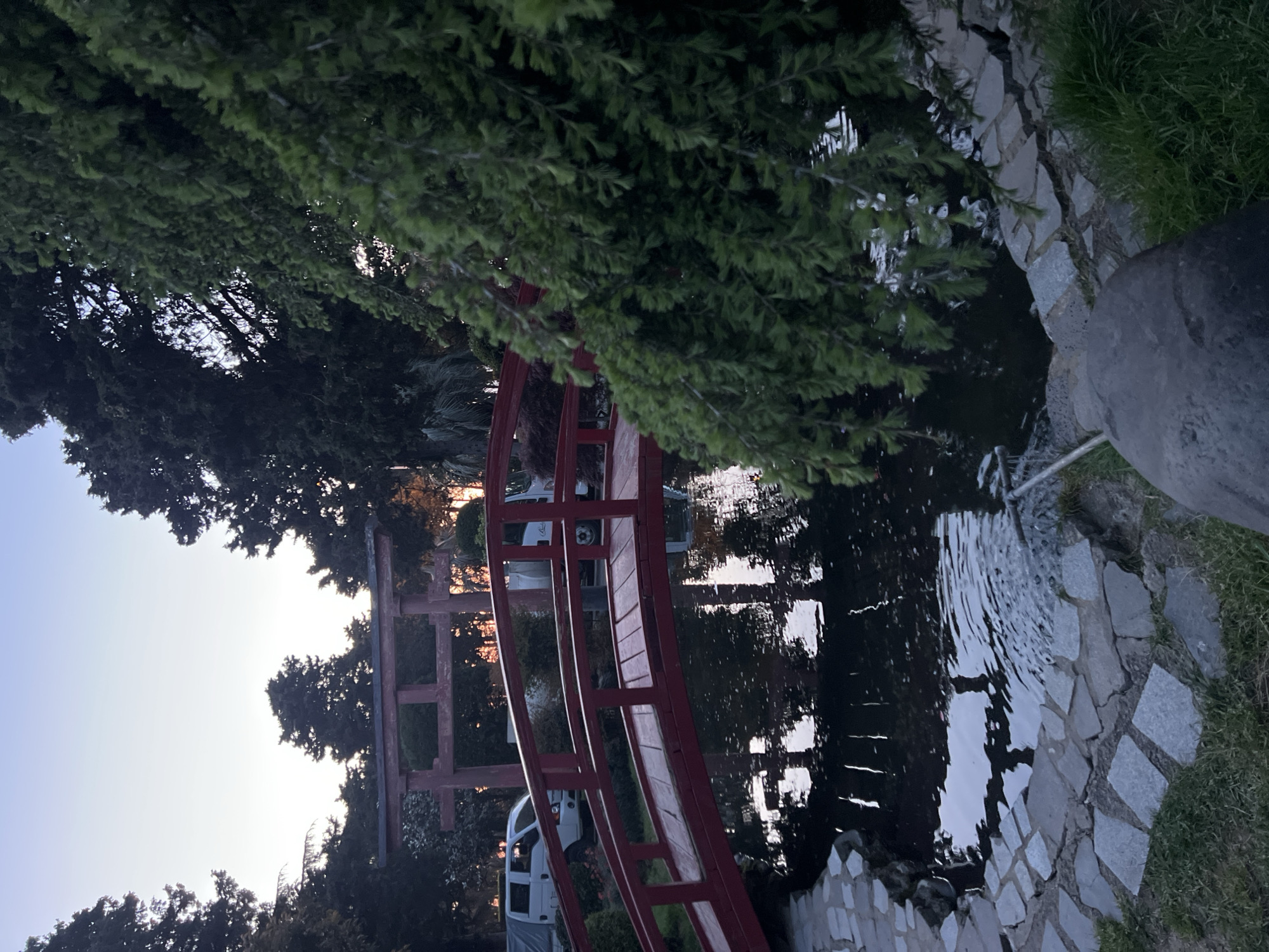 The image displays a serene garden landscape, likely situated in Batumi, Georgia, during the soft light of either dawn or dusk. A prominent feature is a gracefully curved, red wooden bridge, typical of a Japanese garden style, spanning a dark body of water, which appears to be a pond or stream. The water reflects the subdued light from the sky and the surrounding foliage.
On the right side of the water, a small, multi-tiered stone fountain or waterfall gently cascades water into the pond. The bank immediately around this feature is edged with an irregular stone pathway and vibrant green grass. The entire scene is richly framed by dense, dark green trees and foliage, with some branches extending over the water, adding to the tranquil atmosphere.
Through the trees and in the background, a light, soft-toned sky is visible, confirming the twilight setting. A light-colored vehicle, possibly a van, can be partially seen behind the trees to the left of the bridge, and its reflection is also visible in the water. No individuals or written text are discernible in the photograph. The overall impression is one of peaceful natural beauty and calm.