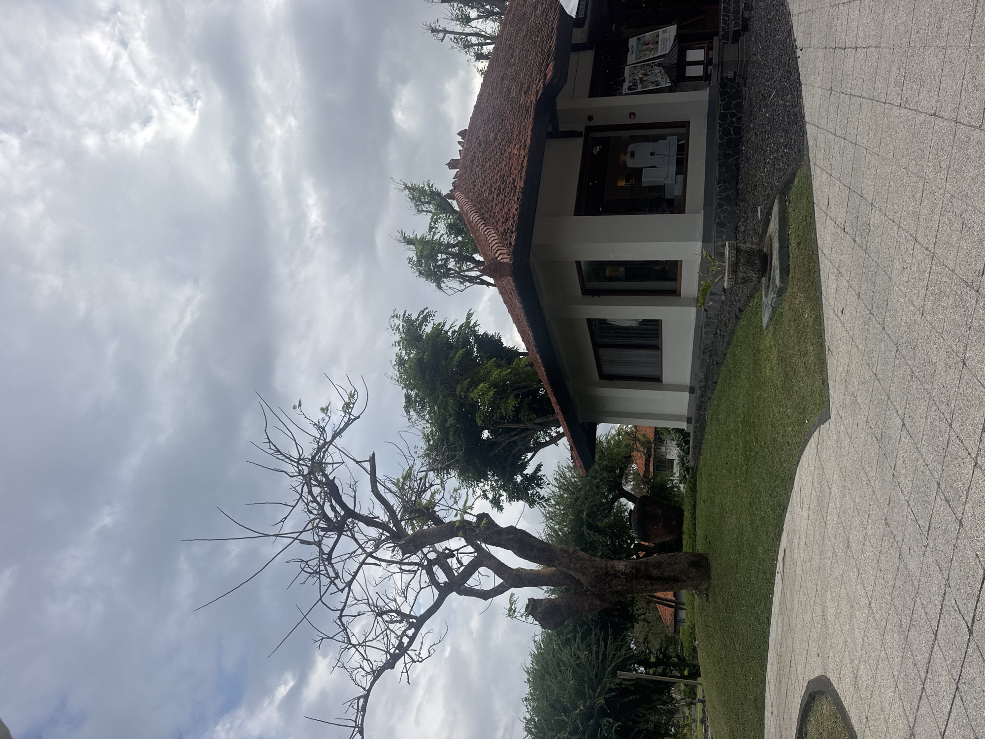 The image depicts a view of a building with a terracotta tiled roof, set within a lush green landscape. In the foreground, a paved walkway with a curved edge leads the eye towards the building. To the left of the walkway, a sloped lawn is visible, featuring a large, bare tree with intricate branches. The building itself is modern with large windows and a white facade, with a dark stone base. Greenery, including trees, surrounds the building, and the sky above is overcast with clouds. The scene appears to be a well-maintained outdoor area, possibly a resort or public space. The provided context suggests the location is in Kuta Selatan, Indonesia.