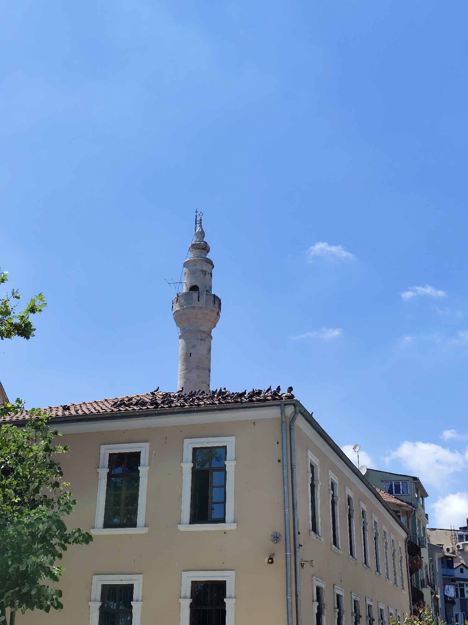 An outdoor, eye-level, low-angle shot captures a minaret and a building under a clear blue sky with scattered clouds. The minaret, made of light-colored stone, has a tapered, multi-tiered design with decorative elements. It is topped with a finial. Many pigeons are perched on the roof of the building below the minaret, as well as on the minaret itself. The building is a two-story structure with a light beige facade and a tiled roof. It features several windows with white trim and dark panes. A large tree with green foliage is visible on the left side of the frame, partially obscuring the building. Several other buildings of varying heights and colors can be seen in the background, suggesting an urban environment. The scene appears to be captured during the daytime.
