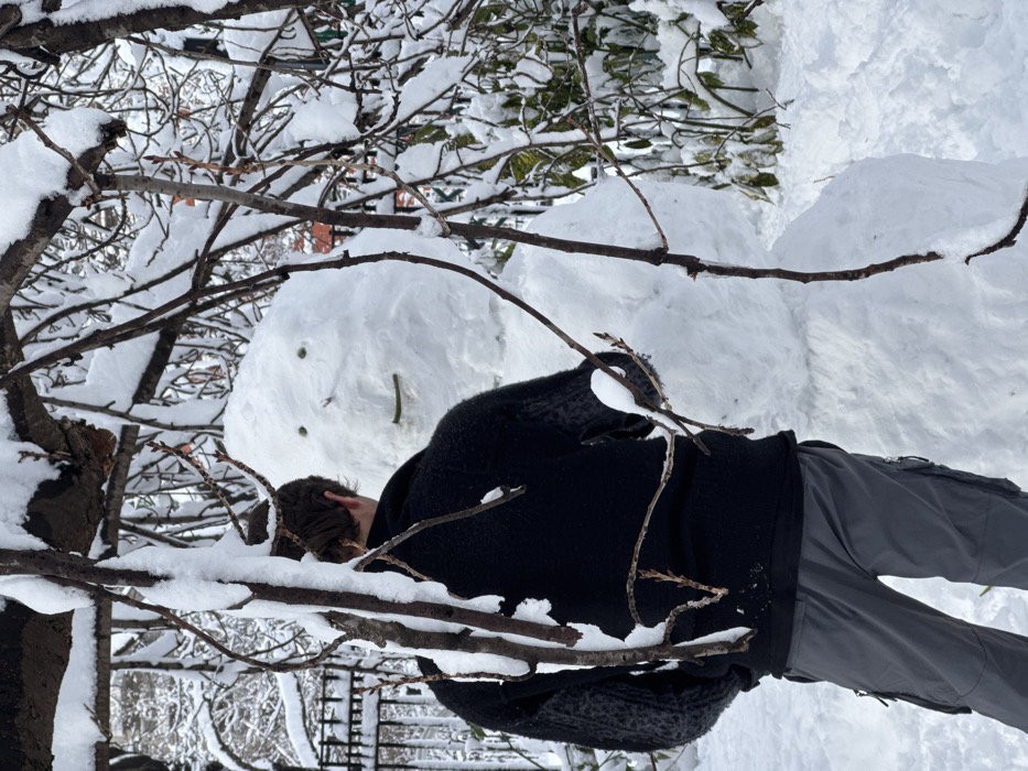 A person in dark clothing is seen from the waist up, standing slightly bent, possibly making a snowman. The snowman, composed of two large snowballs, has stick arms and rudimentary features for eyes and mouth. Snow-laden branches partially obscure the view in the foreground and background, lending a wintery atmosphere to the scene. The person is wearing gray pants.