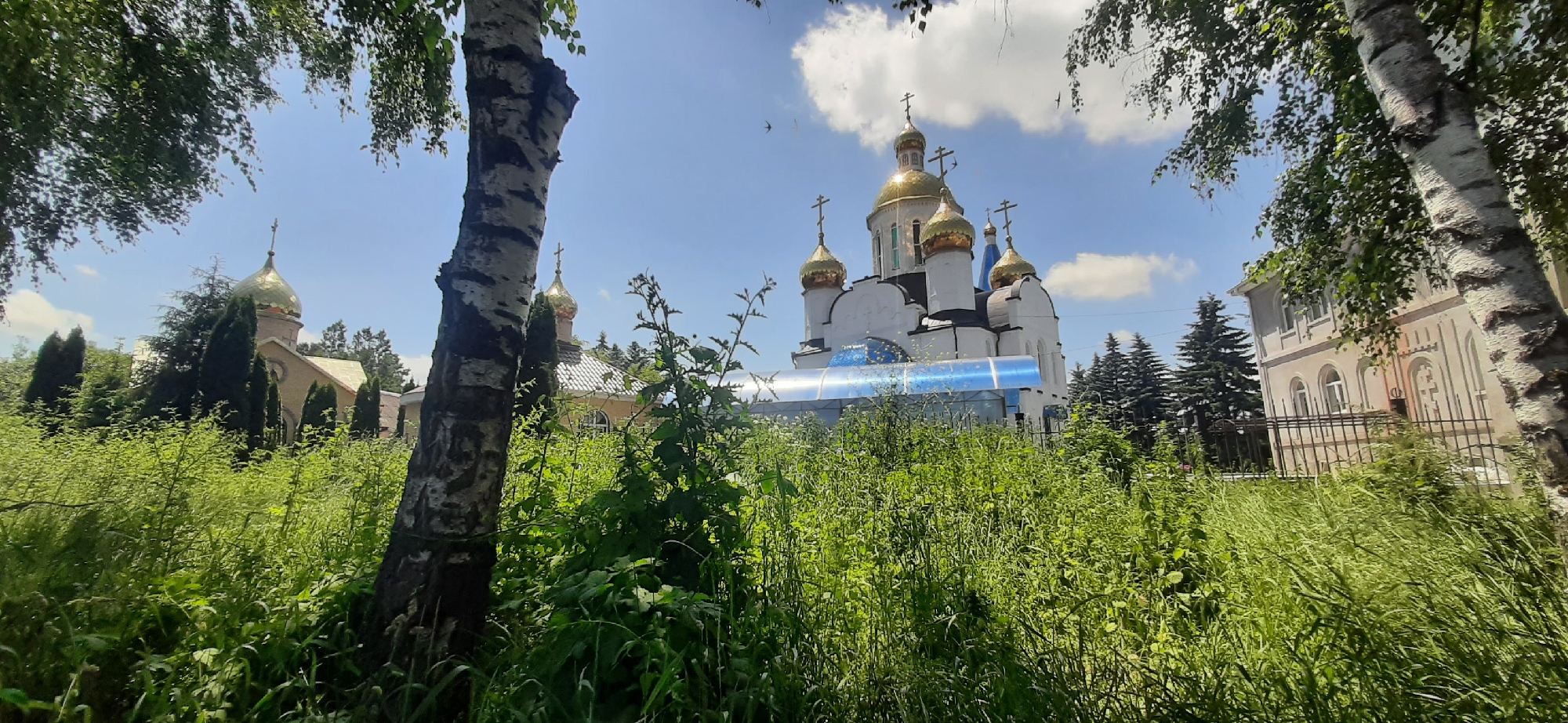 The image shows a white Orthodox church with multiple golden domes, set against a bright blue sky with scattered clouds. The church has a distinctive architectural style with ornate crosses atop the domes. In the foreground, lush green vegetation and trees, including a prominent birch tree with black and white bark, partially obscure the view of the church and its surroundings. To the right of the church, a building with a light-colored facade and arched windows can be seen, enclosed by a black metal fence. The overall scene depicts a serene, sunny day in what appears to be a park-like setting adjacent to the church. The location is identified as Yessentukskaya, Russia.