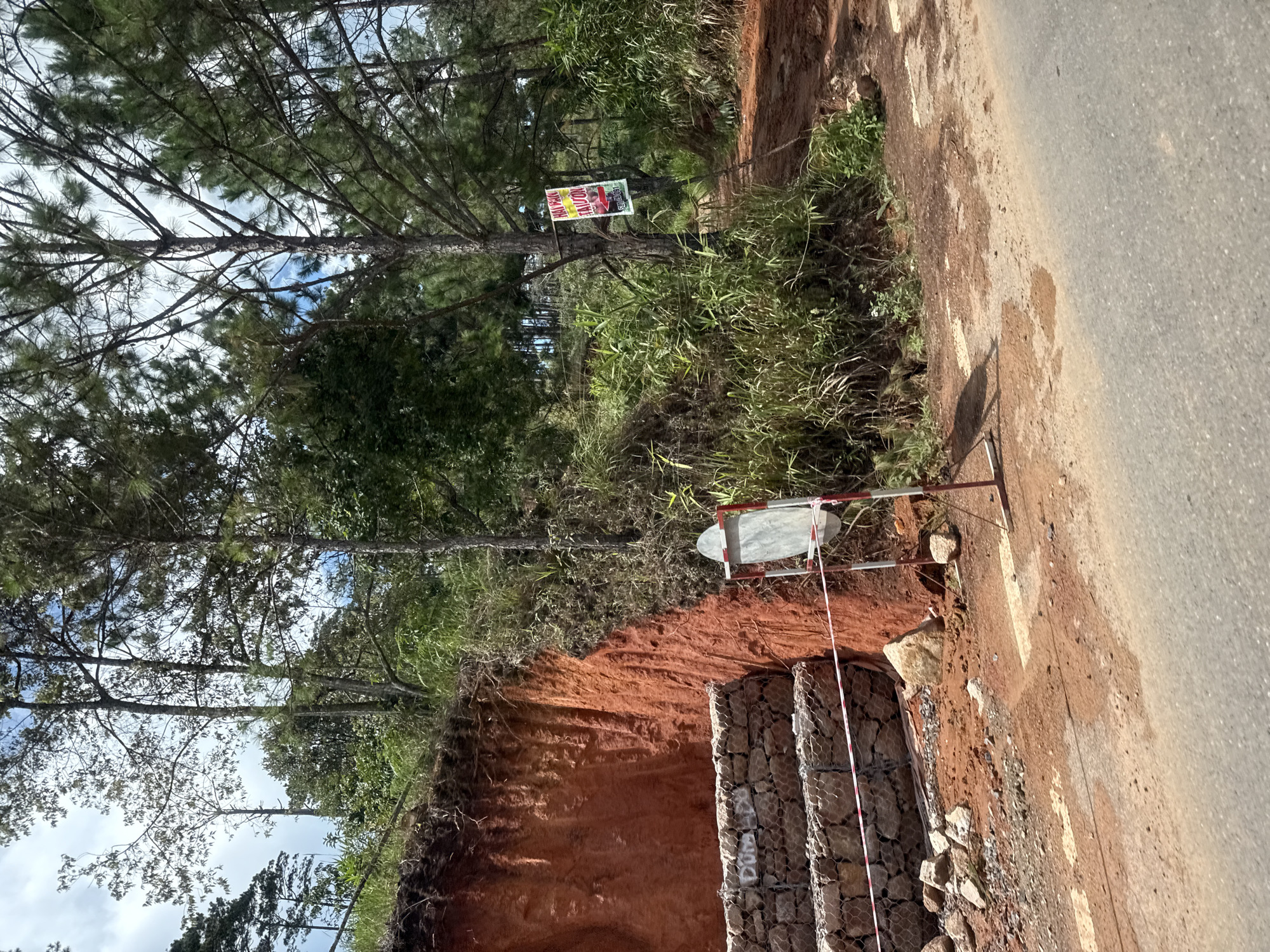 The image depicts a road in Đông Mang, Vietnam, with a prominent landslide on the left side of the frame. The landslide has exposed a bright orange, eroded soil bank, stabilized in its lower section by a gabion wall constructed of wire mesh filled with stones. Red and white striped caution tape is stretched across the gabion wall. A white sign on a metal stand is positioned near the landslide. The road itself is paved in the foreground and transitions to a dirt track further back, leading into a wooded area characterized by tall pine trees and lush green undergrowth. A colorful poster is affixed to a tree on the right side of the dirt track, featuring text in Vietnamese and an image of a motorcycle. The sky is partly cloudy.
