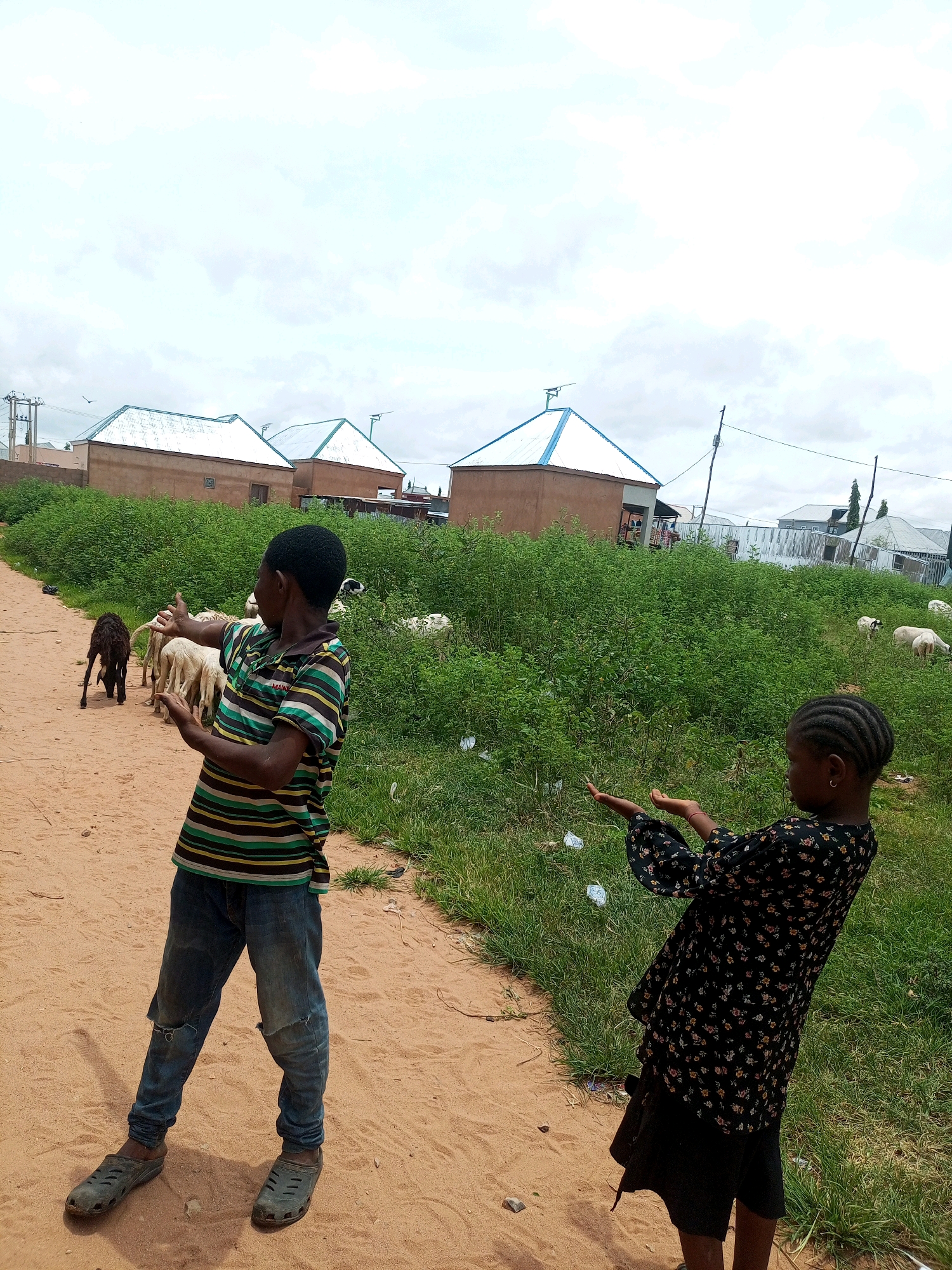 In Tempure, Nigeria, on a dirt road lined with lush green vegetation, two children are captured in a moment of playful interaction. A young boy, dressed in a striped t-shirt and distressed denim jeans, stands facing away from the camera, his arms extended as if gesturing or playing a game. He wears dark grey clogs. To his right, a young girl, with her hair neatly braided, is also positioned with her arms outstretched, palms facing upwards. She wears a black dress adorned with a floral pattern and a dark skirt. Behind them, a flock of sheep grazes among the dense greenery. In the background, several buildings with light brown walls and light-colored roofs, some with distinct blue trim, dot the landscape under a cloudy sky. A bird is visible in the sky above the buildings.