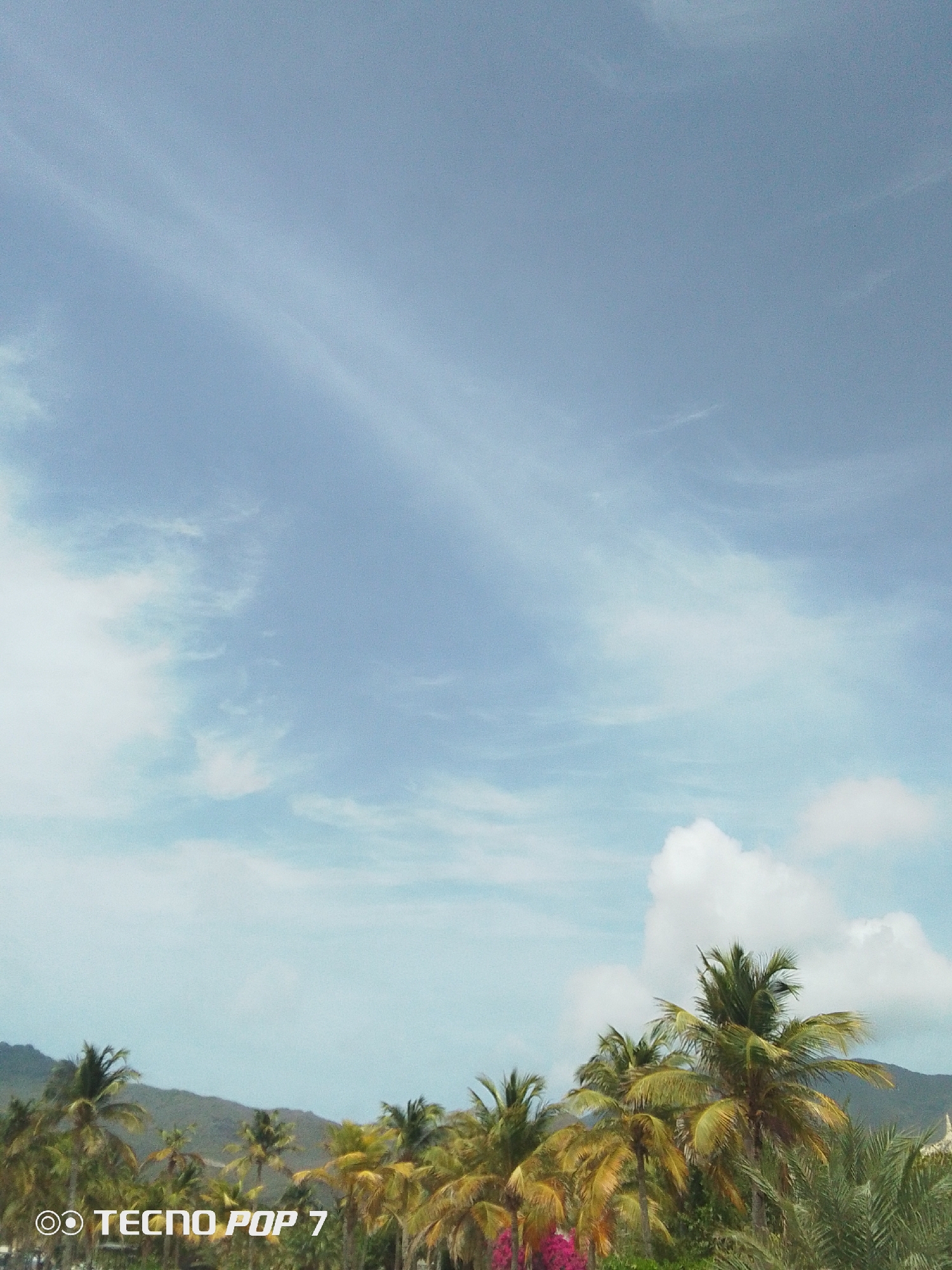 The image depicts a coastal landscape in Pedro González, Venezuela. A light blue sky with wispy clouds dominates the upper portion of the image. The lower portion features a view of palm trees and other vegetation. Mountains are visible in the background, forming a distant horizon. The scene is captured during daylight hours, suggesting a tropical or subtropical climate. There is a camera maker watermark in the lower left of the image that says "TECNO POP 7".