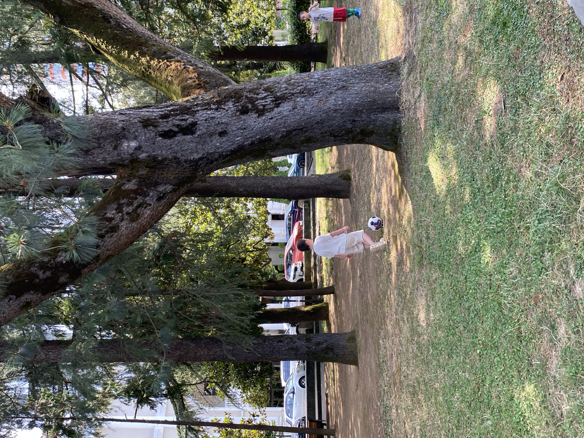 In the city of Batumi, Georgia, a boy in a white t-shirt and beige shorts is playing with a soccer ball on a grassy area beneath large trees. To his right, another boy in a white t-shirt and red shorts stands near a large tree. In the background, cars are parked along a street, and a white building with columns is visible. The ground is covered in patchy grass and dry leaves.