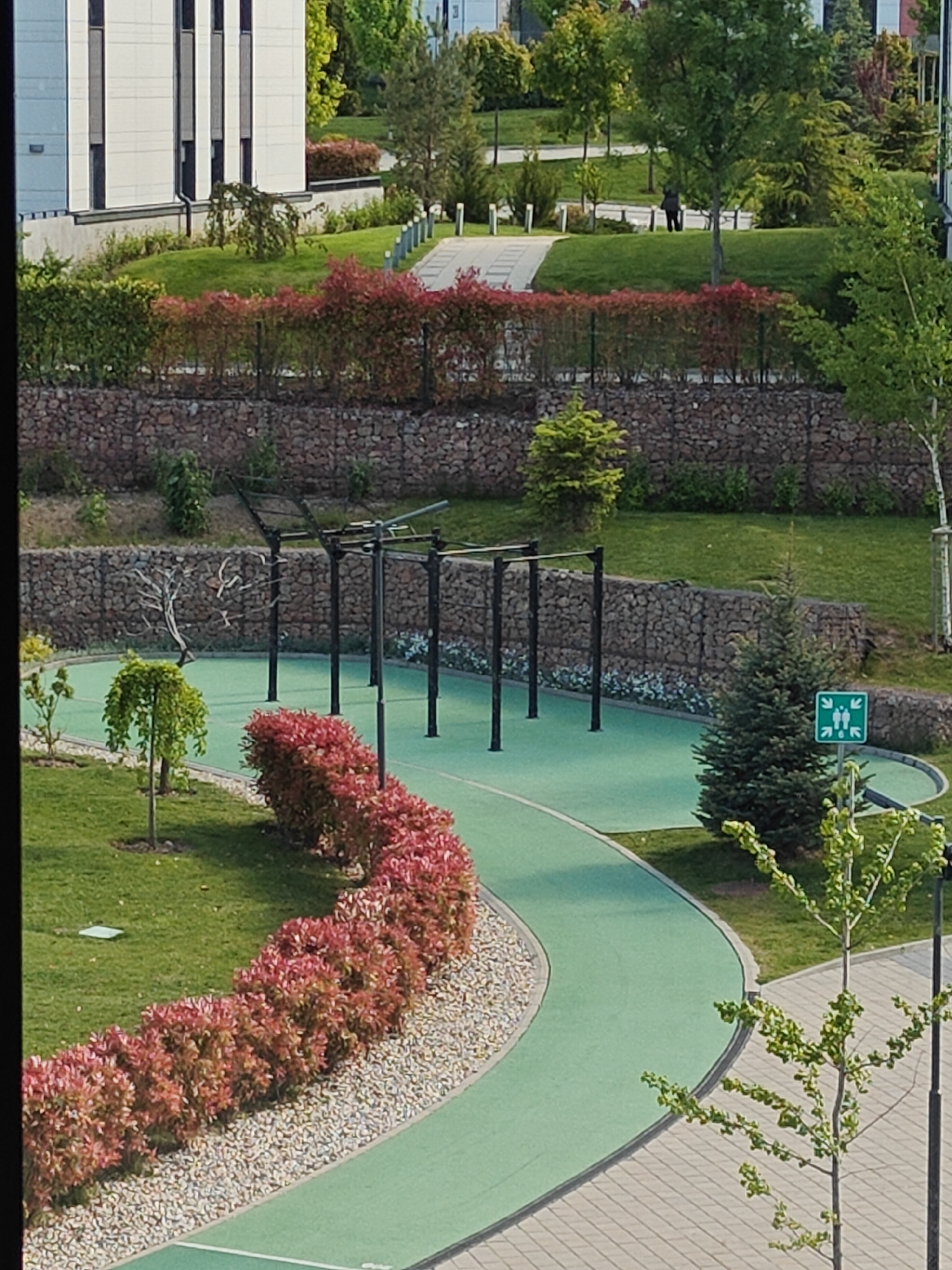 The image shows a park area in Sofia, Bulgaria. A green running track winds through the landscape, bordered by red-leafed bushes and a gravel path. A metal outdoor exercise structure stands on the green surface. Behind it, a stone wall divides the space, with greenery growing on top. In the background, a modern building is visible, along with more trees and greenery. A green sign with white figures is seen near a conifer.