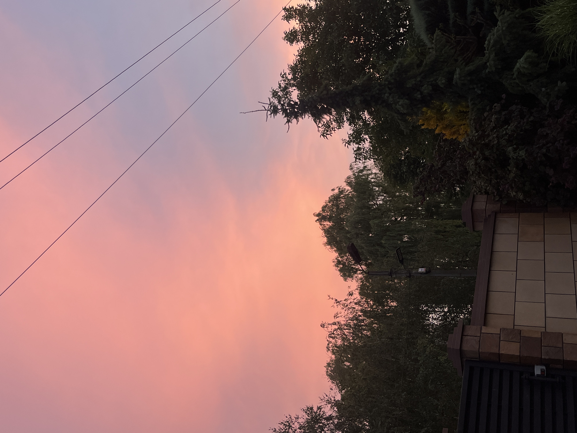 The image displays a twilight sky with soft pink and purple hues, suggesting the sunset or sunrise. Several power lines stretch diagonally across the frame, creating a graphic element against the gradient sky. To the right, a dense canopy of green trees partially obscures the view, with darker foliage towards the bottom and some lighter, possibly yellowing leaves visible higher up. A portion of a building with a tiled facade and decorative brickwork is also present on the far right. A lamppost is visible amidst the trees. The overall scene evokes a sense of calm and tranquility, characteristic of the end of the day. No people are visible in the frame, and no text is present. The image's orientation is vertical, captured from a low angle looking upwards towards the sky and trees.