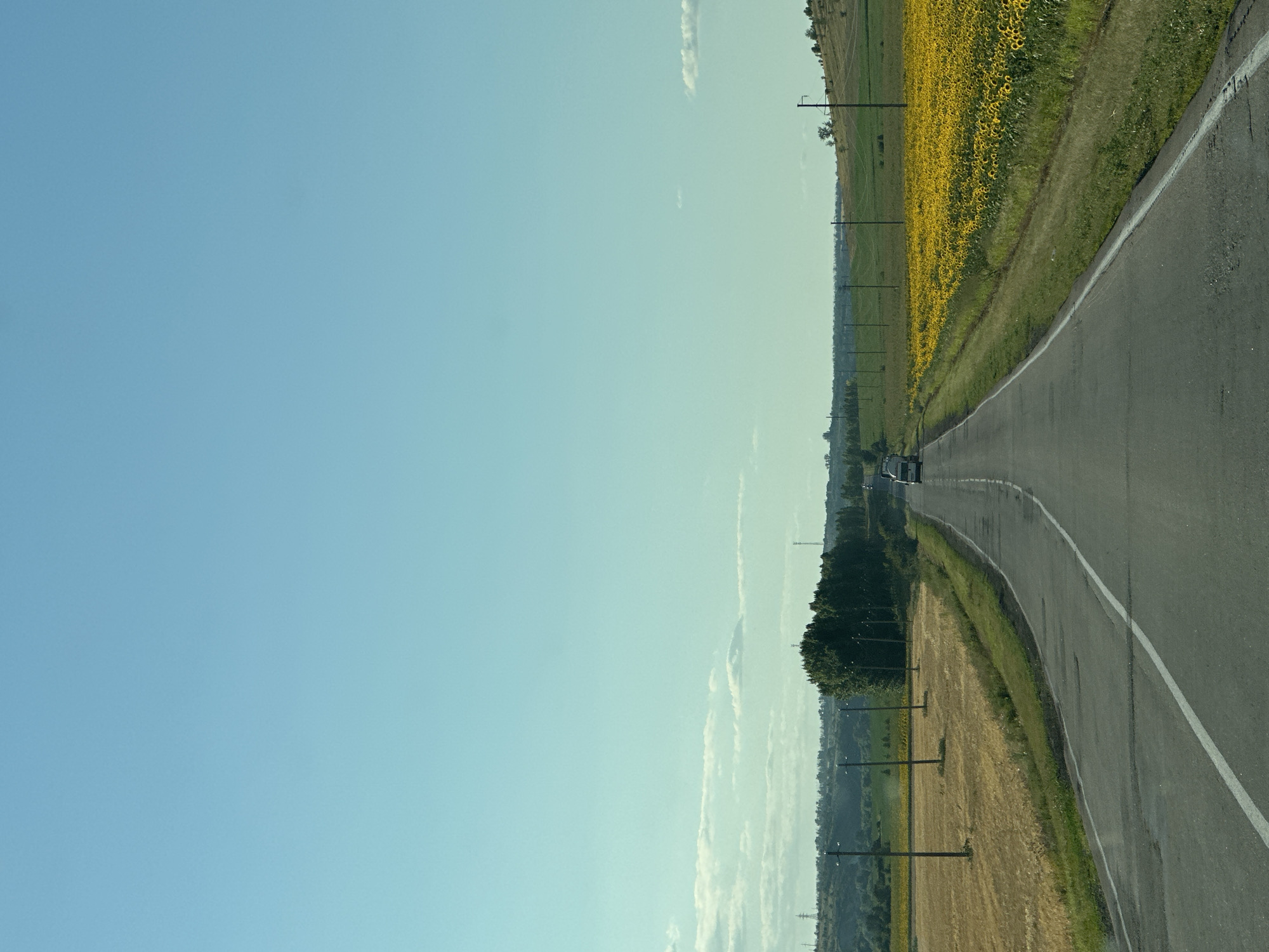 The image depicts a rural road scene, likely on the outskirts of Rudnya, Russia. The road, paved and with white lane markings, stretches into the distance, leading towards a flat horizon. To the left of the road, a field of harvested grain, appearing golden and dry, is visible. Beyond this field, a line of green trees forms a natural boundary, and further in the distance, rolling hills can be seen. To the right of the road, a vibrant field of sunflowers in full bloom creates a striking contrast with the golden grain. Utility poles with wires are spaced along both sides of the road, suggesting the presence of infrastructure. In the far distance, a white vehicle is moving along the road. The sky is a clear, pale blue, with a few wispy clouds scattered towards the horizon, indicating fair weather conditions during daytime. The overall impression is one of a quiet, agricultural landscape under a bright sky.