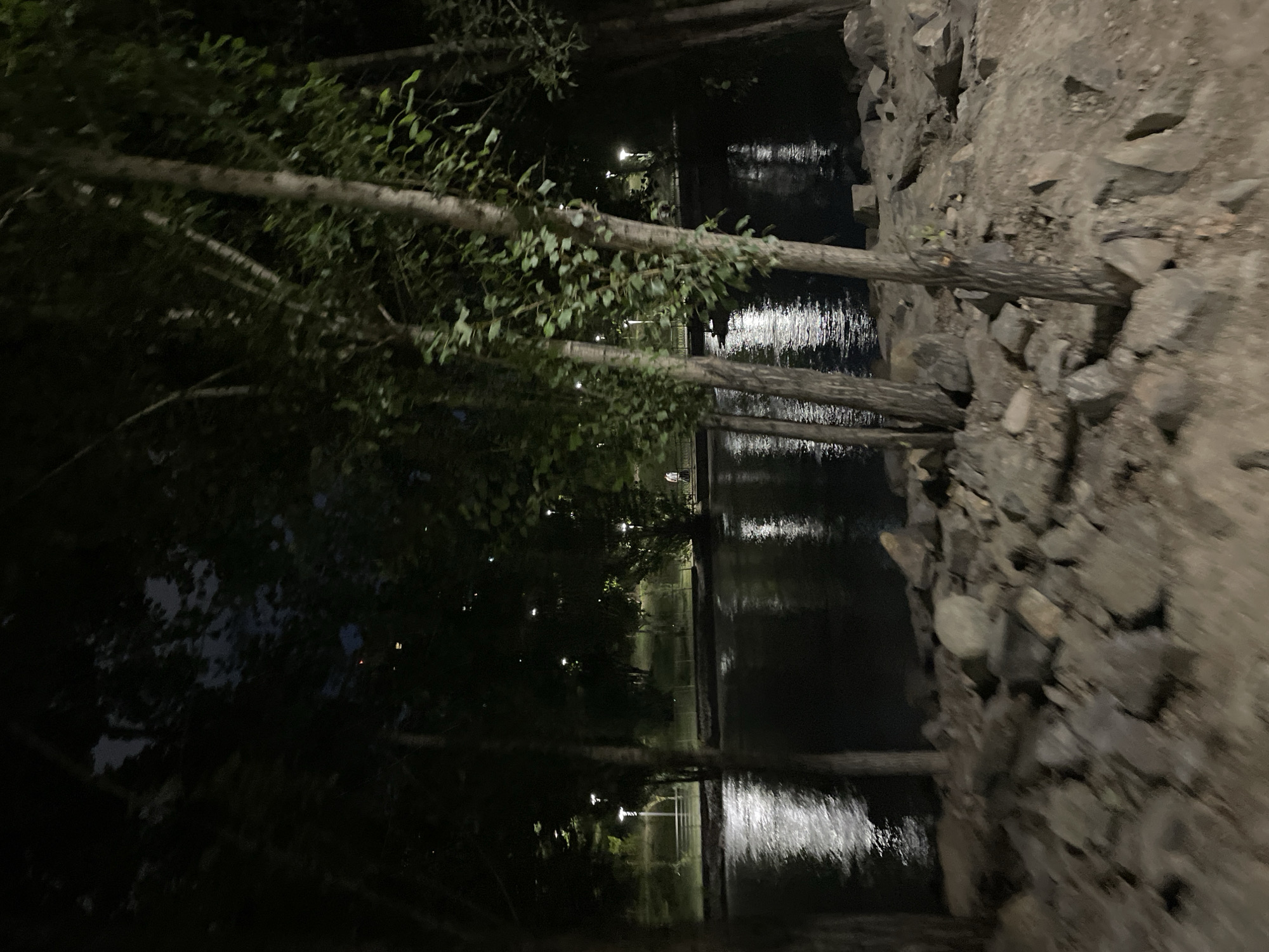 This is a nighttime photograph taken from a rocky embankment overlooking a body of water. The water reflects the light from lamps lining the opposite bank, creating a shimmering effect. Trees with green foliage are scattered throughout the scene, with some in the foreground obscuring parts of the view. On the far bank, there is a grassy area with several lampposts and some people can be seen walking. The overall setting appears to be a park or a waterfront area within the city of Almaty, Kazakhstan.