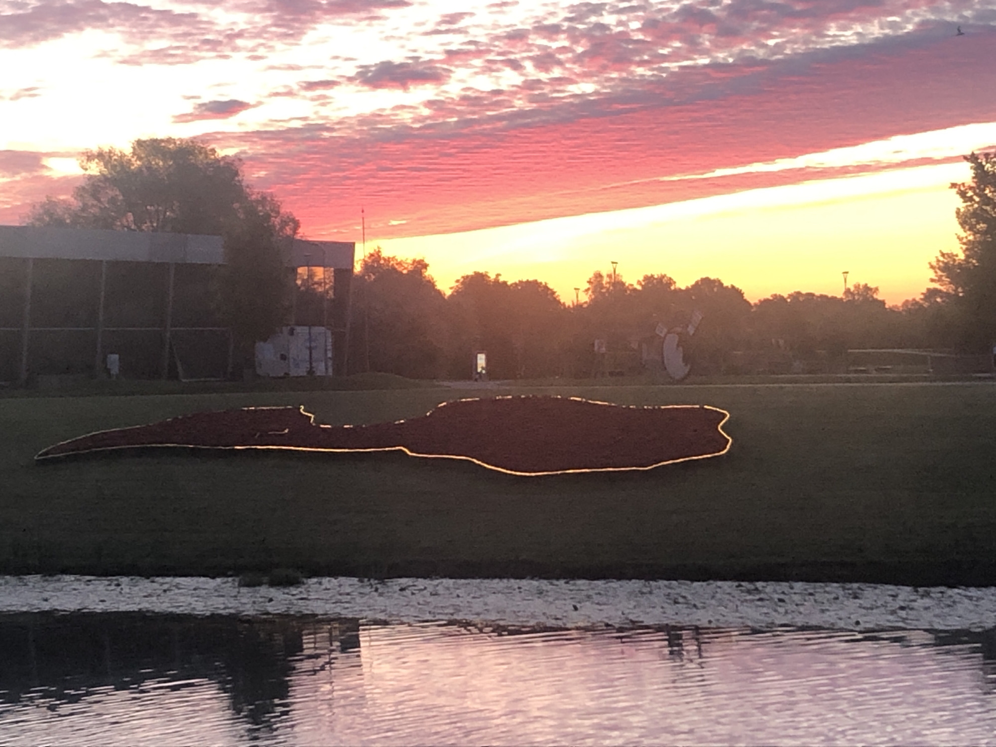 The image captures a striking sunset over a park area in Jelgava, Latvia. In the foreground, a body of water reflects the vibrant hues of the sky, transitioning from warm yellows to deep pinks and purples. Adjacent to the water, a grassy area features a large, dark, elongated mound outlined with a bright, luminous border. This mound appears to be a landscape art installation, possibly representing a stylized animal or object. In the middle ground, silhouetted trees and several low-rise buildings, including structures with large windows that reflect the sunset, create a backdrop. The sky is filled with textured clouds, painted with the dramatic colors of dusk. A single bird is visible in flight against the colorful sky. The overall scene evokes a sense of tranquility and natural beauty enhanced by human artistic intervention.