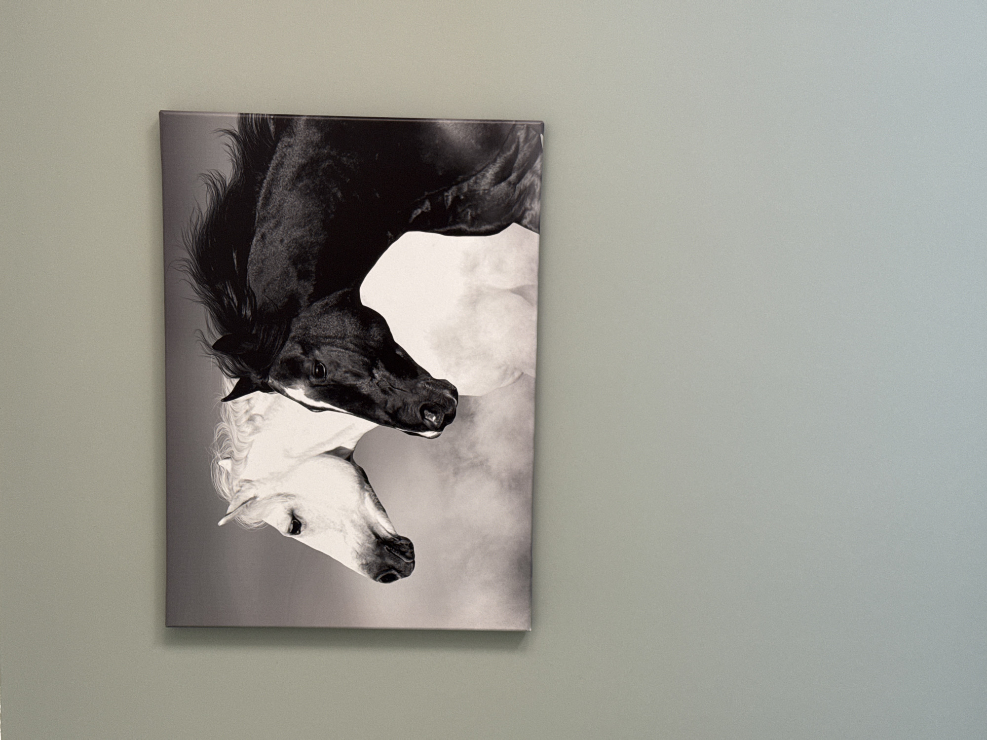 A close-up shot shows a black-and-white canvas print hanging on a grey-green wall. The print depicts two horses, one black and one white, overlapping with their heads positioned vertically. The wall is a solid color with a subtle texture. There are no people visible. No location information about Sofia, Bulgaria is known from the image.