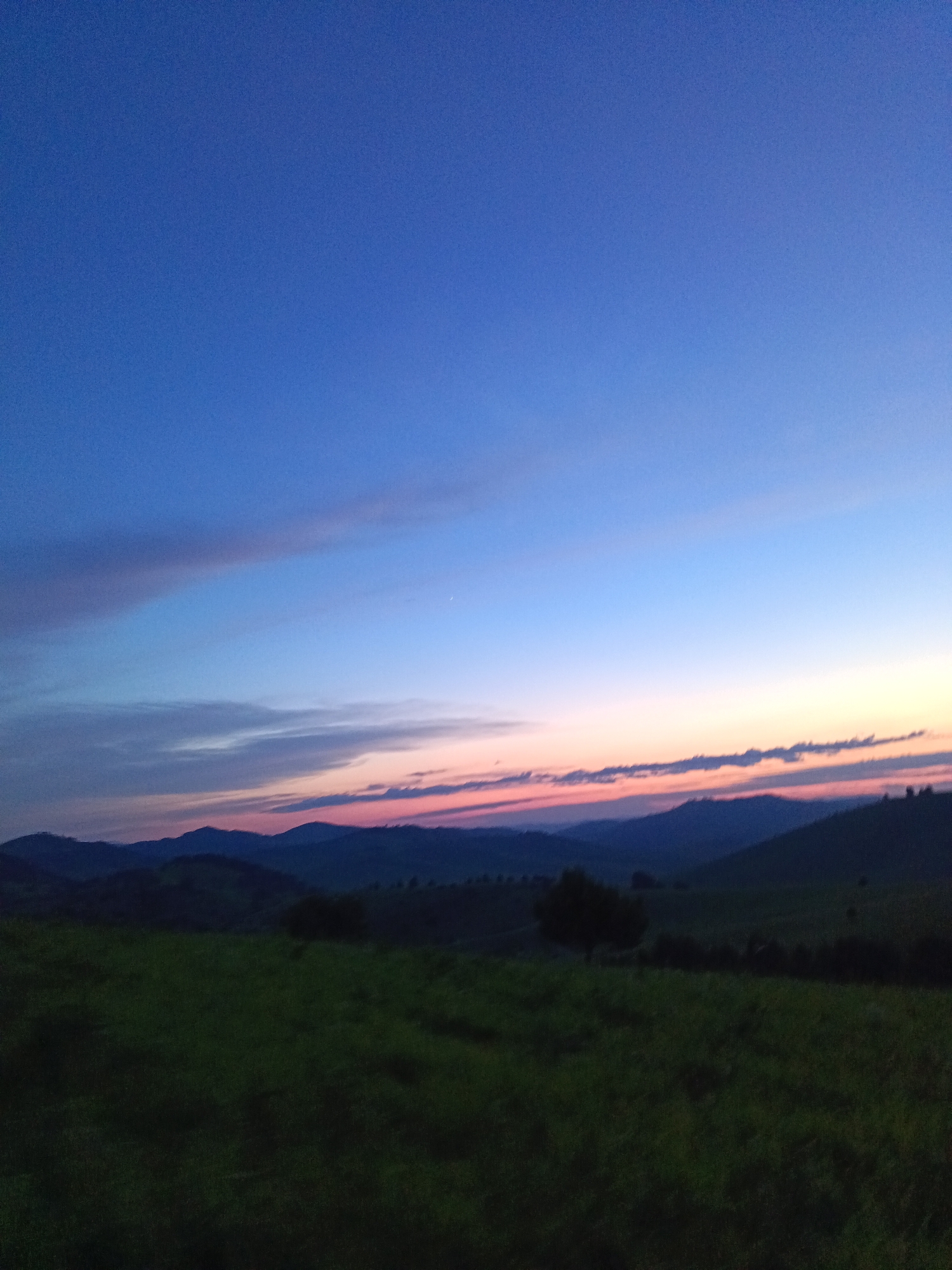 The image captures a rural landscape at dusk in Sadovyi, Russia. The sky transitions from a deep blue overhead to lighter shades of blue and hints of pink and orange near the horizon, indicating the sunset. Wispy clouds are visible, elongated and streaked across the sky. In the foreground, a dark green, uncultivated field occupies the lower half of the frame. Beyond the field, silhouetted against the twilight sky, are rolling hills and mountains. A few dark, indistinct trees are scattered across the landscape, and one prominent, solitary tree stands in the mid-ground to the right of center. The overall impression is one of natural tranquility and the end of the day. There are no people or animals visible in the scene.