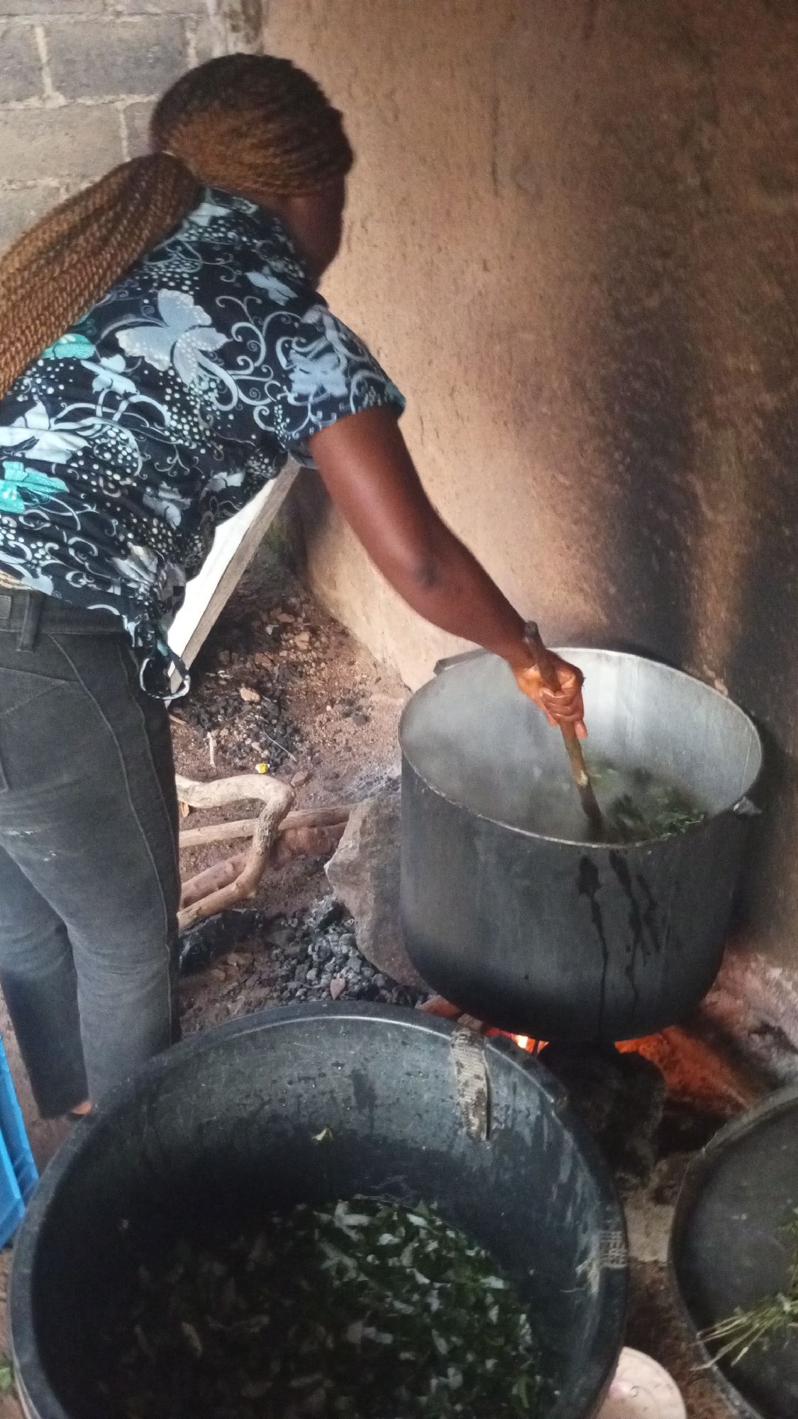 In the city of Barikin Sabon Gidan Kanat, Nigeria, an individual is observed from a rear-side perspective, standing over an open cooking fire. The person, with dark skin and braided hair secured in a long ponytail, wears a dark, short-sleeved shirt featuring a light blue/white floral and dotted pattern, and dark trousers. With their right arm extended, the individual stirs the contents of a large, dark metallic pot with a wooden stick. Steam rises from the pot, which contains green leafy material. The pot is positioned on stones above glowing embers and ash on a dirt floor, indicating a direct-fire cooking method. In the lower left foreground, a large black plastic tub holds a considerable volume of chopped green leafy vegetables. A smaller, partially visible black container with additional green plant matter is situated on the lower right. The background consists of a rough, light-colored block wall on the left and a plain, light brown wall on the right.