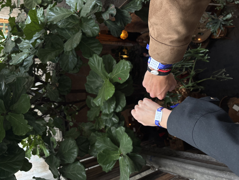 Two arms, one wearing a brown jacket and the other a black coat, are angled together with hands displaying blue wristbands. The wristband on the brown-jacketed arm has text "SALON SCMCHON NR. 13", a white shell charm, and additional red and black bracelets. The wristband on the black-coated arm has a grid of letters or symbols. A large leafy plant fills the left side of the frame, while other plants and decorations are blurred in the background.