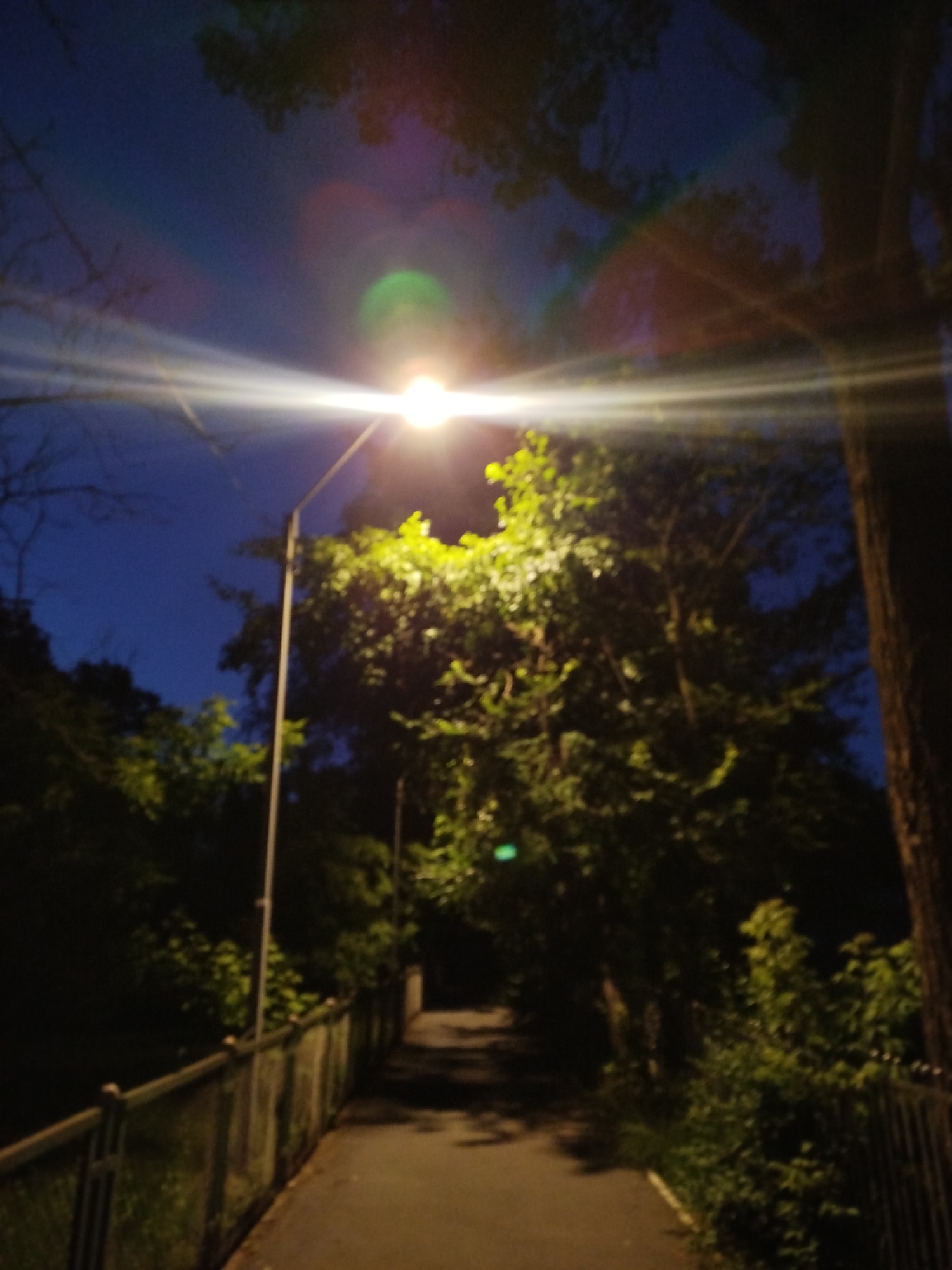 The image shows a path in a park at night, illuminated by a bright streetlight. The path is bordered by a fence on the left and trees and foliage on the right. The sky is dark blue, and there are lens flares from the streetlight, creating streaks of light and colorful halos. The scene appears to be a walkway or bridge, possibly over water, given the railing. The overall impression is of a quiet, somewhat mysterious evening in a park.