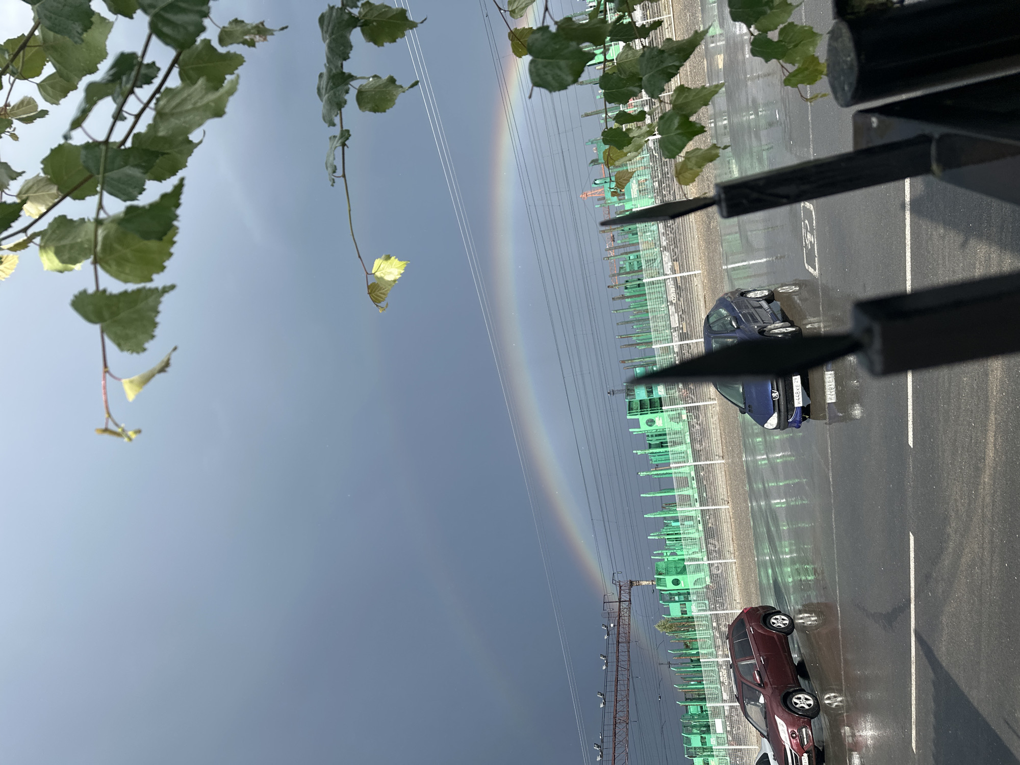 The image depicts a scene in Plesetsk, Russia, following a rain shower. A double rainbow arches across a dark, cloudy sky. In the foreground, a wet asphalt road with white lane markings reflects the sky and overhead structures. Two cars are visible: a dark red SUV in the left lane and a blue sedan in the right lane. Beyond the road, there is a fenced area with numerous green vertical structures, possibly part of a construction site or infrastructure. In the upper portion of the image, branches with green leaves overhang the scene, some of which appear wet. The overall atmosphere is damp and subdued due to the recent rain and overcast conditions.
