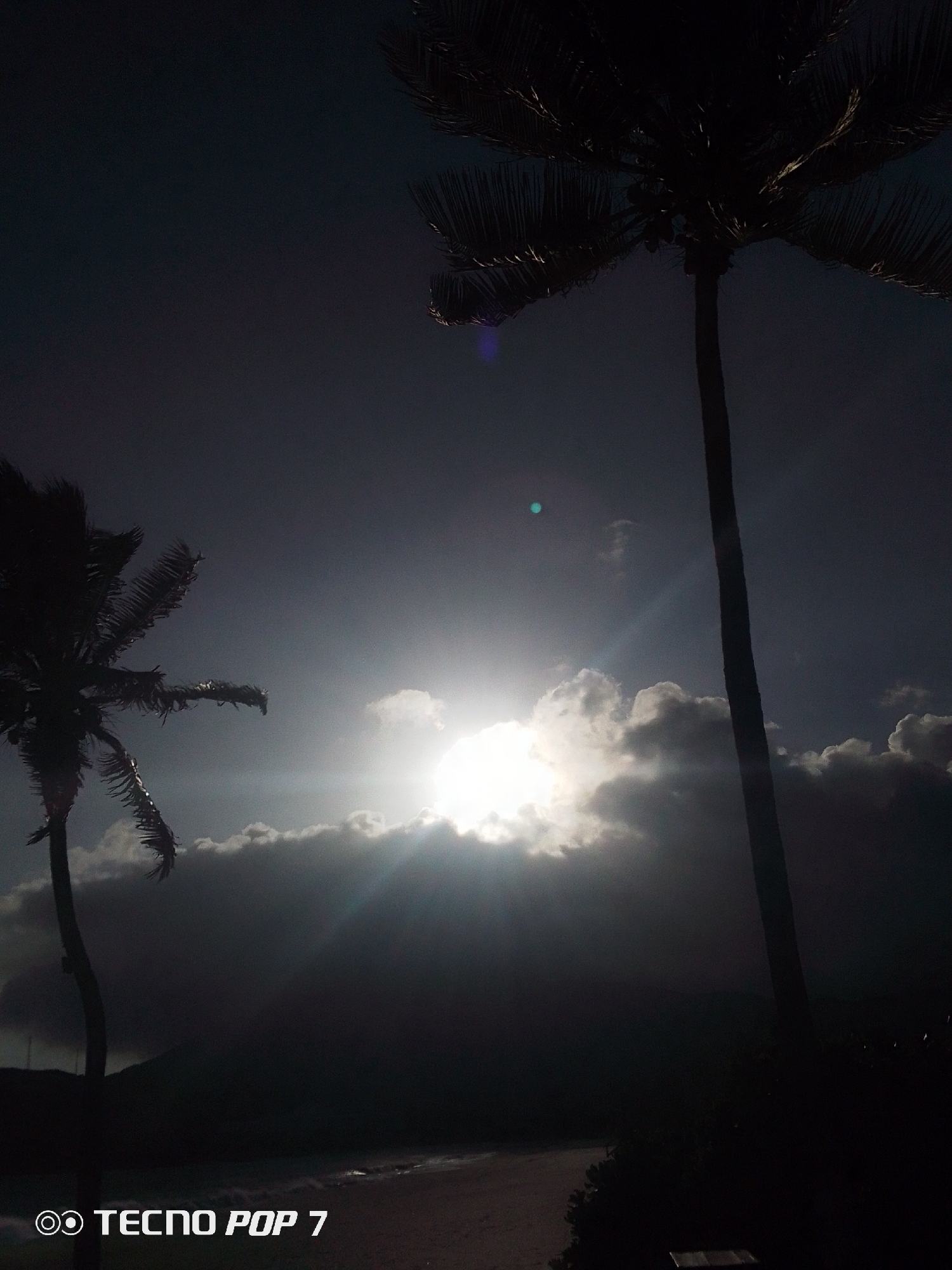 The image depicts a silhouette of two palm trees against a backdrop of clouds and the setting sun. The scene appears to be near a beach, with a suggestion of landforms in the distance. The photo was taken in Pedro González, Venezuela. The sky is visible above the clouds. The sun is behind the clouds. The palm trees are prominent figures in the foreground, silhouetted against the bright light. The photo has a dark tone. The branding "TECNOPop 7" is visible in the lower-left corner of the image.