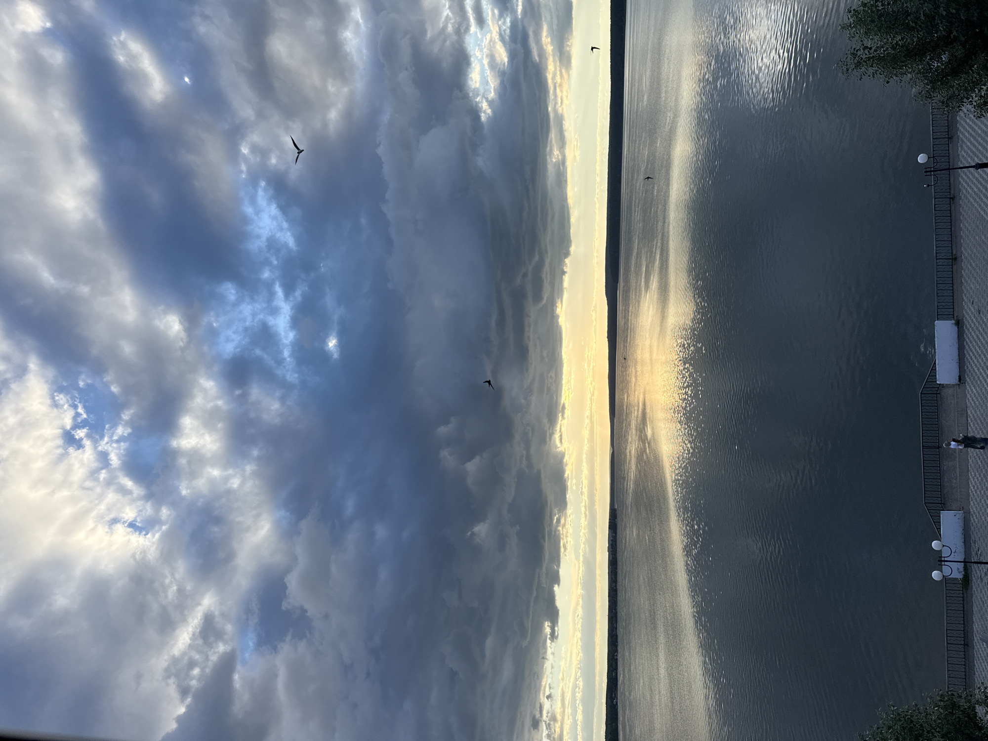 The image depicts a tranquil lakeside scene in Votkinsk, Russia, likely captured during a late afternoon or early evening. The sky is a dramatic blend of dark, brooding storm clouds on the left, interspersed with patches of bright, sunlit sky on the right, hinting at a dynamic weather front. Sunlight breaks through, casting a shimmering, golden path across the calm water, creating a striking contrast between light and shadow.
Several birds are visible in flight, soaring against the dramatic sky and over the water, adding a sense of movement and life to the otherwise still landscape. On the right side of the frame, a paved walkway runs alongside the lake, bordered by a decorative metal railing and occasional lampposts. A white bench is also present on the walkway. In the distance, the far shore of the lake is barely visible as a faint dark line against the horizon.
The presence of the walkway and its amenities suggests a public park or promenade area, a common feature in waterfront towns. The overall mood is one of serene beauty, perhaps tinged with a touch of melancholy due to the stormy clouds, but ultimately peaceful and awe-inspiring. No visible text is present in the image.