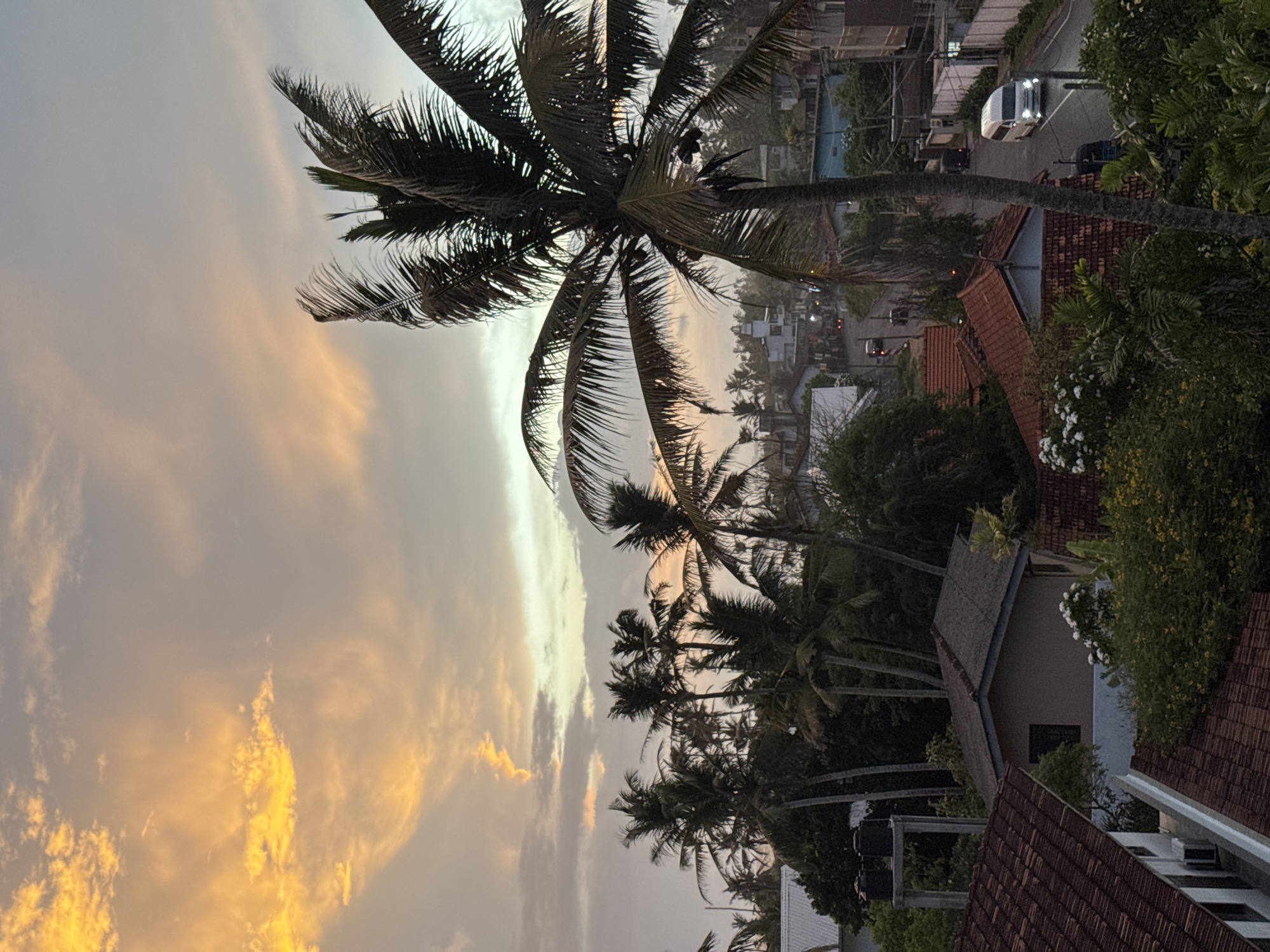 The image depicts a view of Goviyapana, Sri Lanka, during a sunset with an overcast sky displaying hues of orange and gray. The foreground is dominated by the silhouette of a large palm tree with its fronds extending across the frame. Below the palm tree, several houses with red tile roofs are visible, interspersed with lush green vegetation. A road winds through the scene, with a white van and a three-wheeled vehicle traveling on it. In the background, more palm trees and buildings form the cityscape. The overall impression is of a tropical evening in a coastal town.