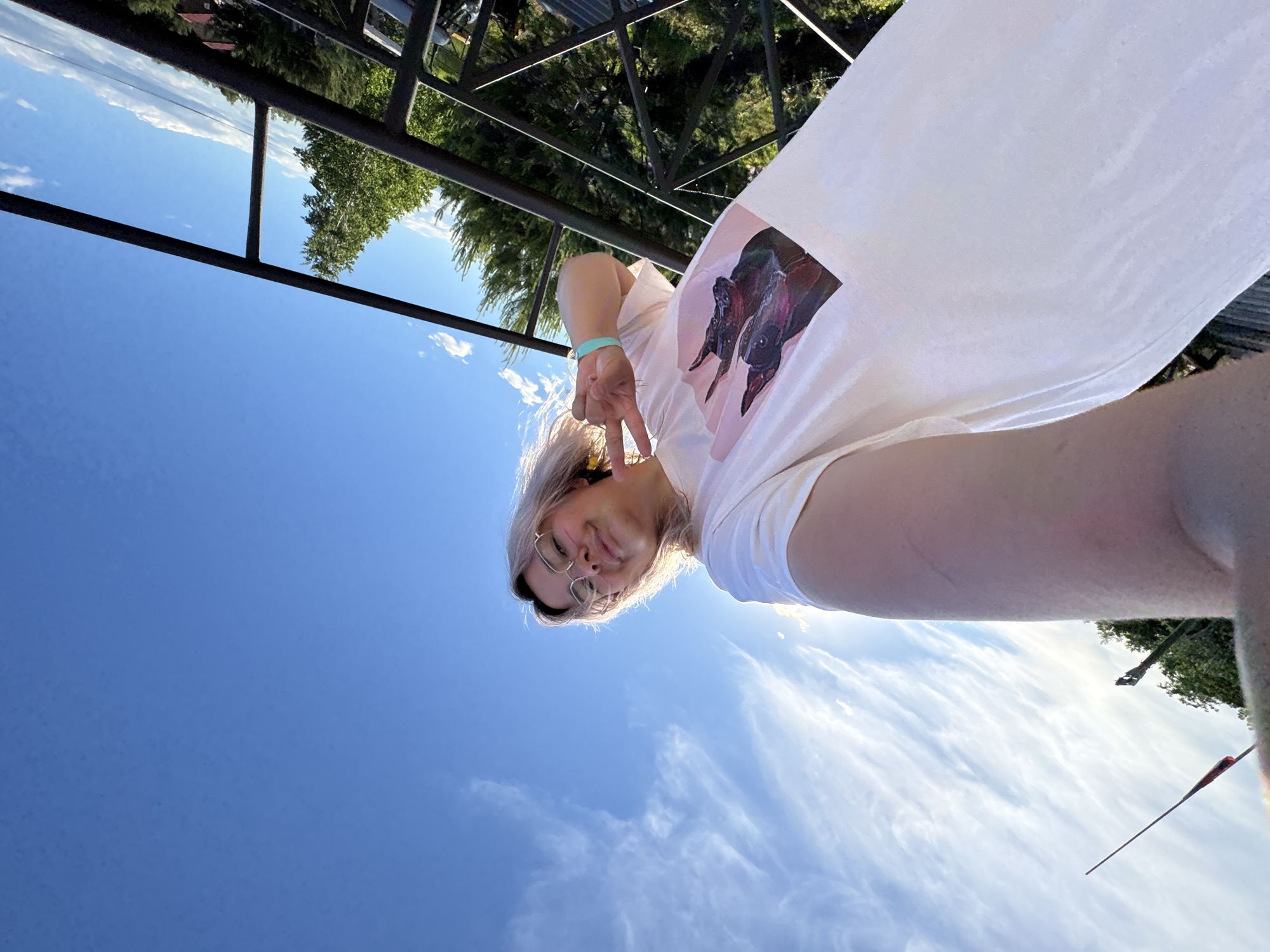 An outdoor, low-angle selfie shows a person wearing a white t-shirt with a graphic of two dogs, glasses, and a turquoise bracelet on their left wrist. The person is making a peace sign with their right hand. The background consists of a bright blue sky with wispy clouds, sun glare, green trees, and a dark metal railing. The specific location within Birobidzhan, Russia is not identifiable from the image.