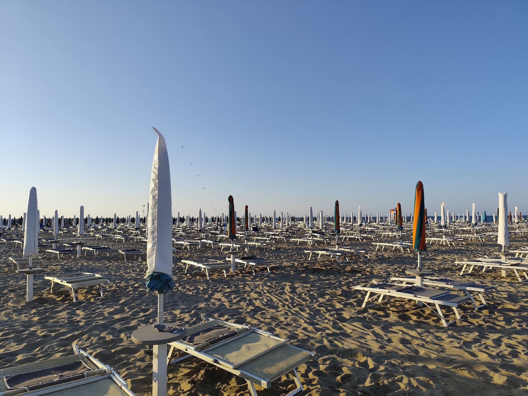 The image depicts an empty beach in Rimini, Italy, characterized by rows of closed beach umbrellas and lounge chairs on the sand. The sky is clear and blue, suggesting a sunny day. The sand shows ripples and shadows, indicating either recent activity or the natural contours of the beach. In the foreground, several lounge chairs are visible, some folded and others open. The umbrellas, mostly white, are closed and lined up in uniform rows, extending into the distance. A few colorful umbrellas, striped in orange and green, break the monotony. In the far distance, the sea is faintly visible as a thin line of blue. A few birds are flying in the sky. The overall impression is one of a quiet, pre-season or post-season beach, devoid of visitors.