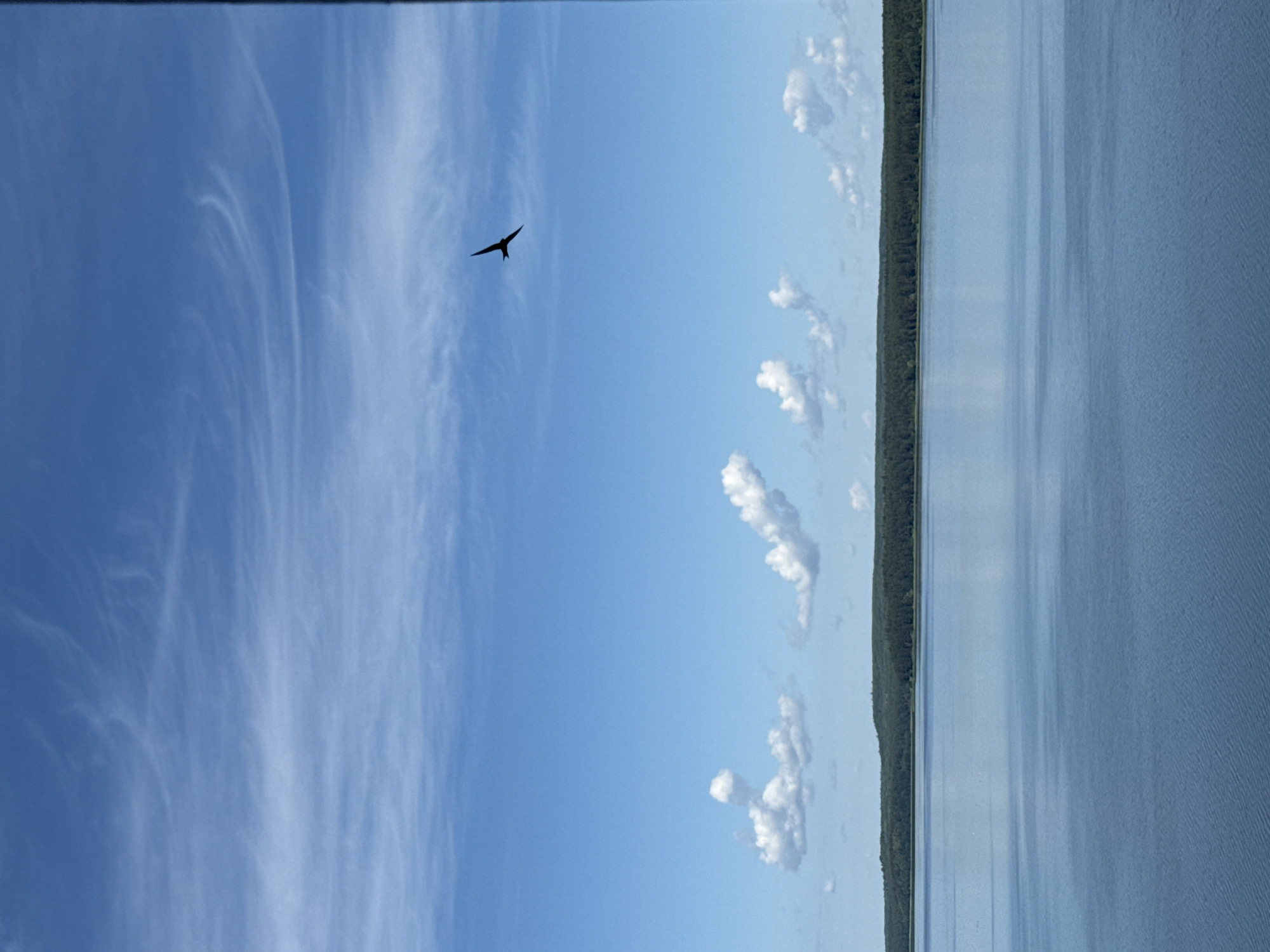 A solitary bird flies across a bright blue sky dotted with wispy white clouds. Below the sky, a wide, calm body of water reflects the sky. The water stretches to meet a distant tree-lined shore, where a dark green forest covers rolling hills. The scene is serene, evoking a sense of natural tranquility. This appears to be a view of the Votkinsk Reservoir, located in the city of Votkinsk, Russia.