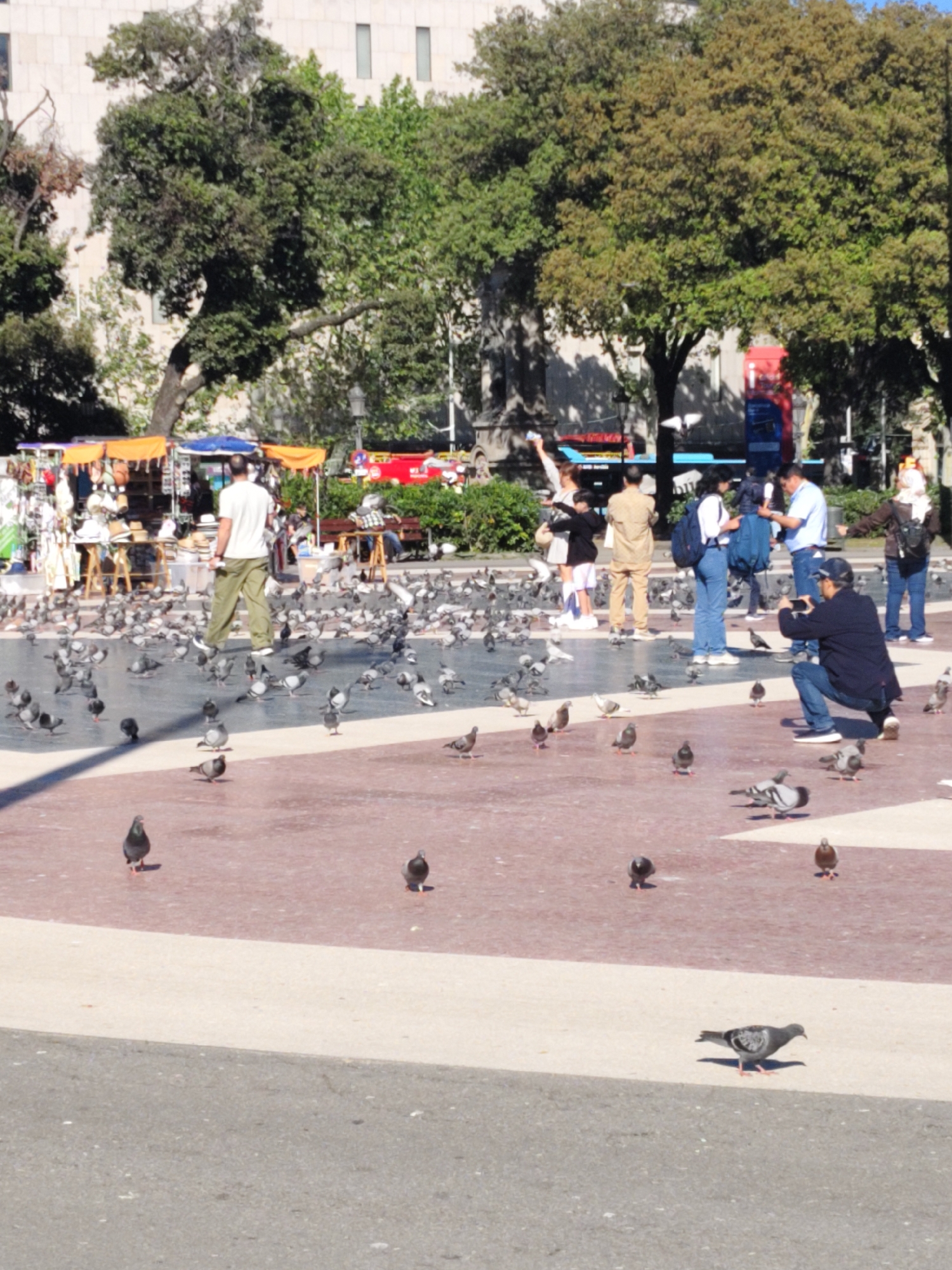 The image depicts a city square in Barcelona, Spain, teeming with pigeons. The square is paved with a pattern of white, red, and gray stone. A group of people are gathered in the central area, some of whom appear to be interacting with the pigeons, possibly feeding them. One person is taking a photograph.
In the background, there are trees and several market stalls with colorful canopies. A building is visible behind the trees. The weather appears to be sunny.